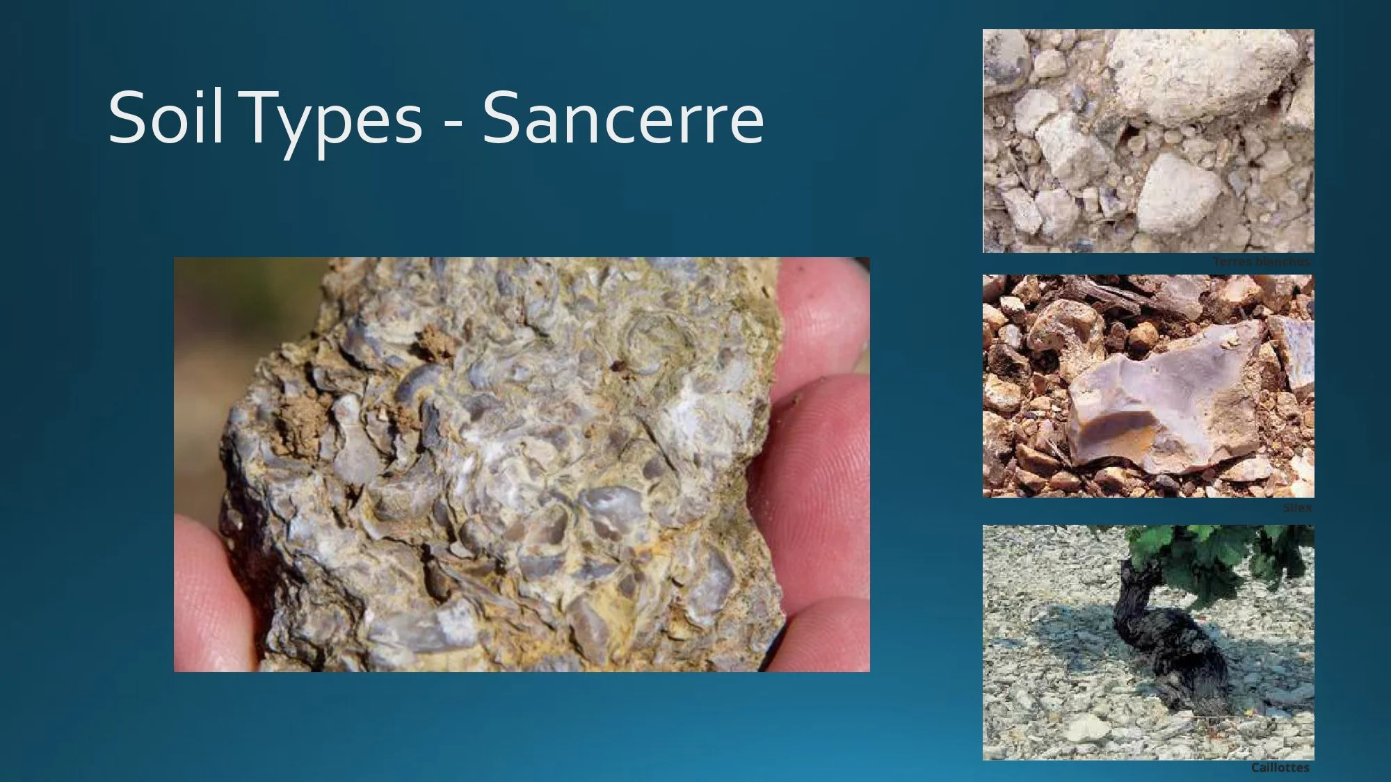 Loire Valley Staff Training.pptx_page-0030.jpg