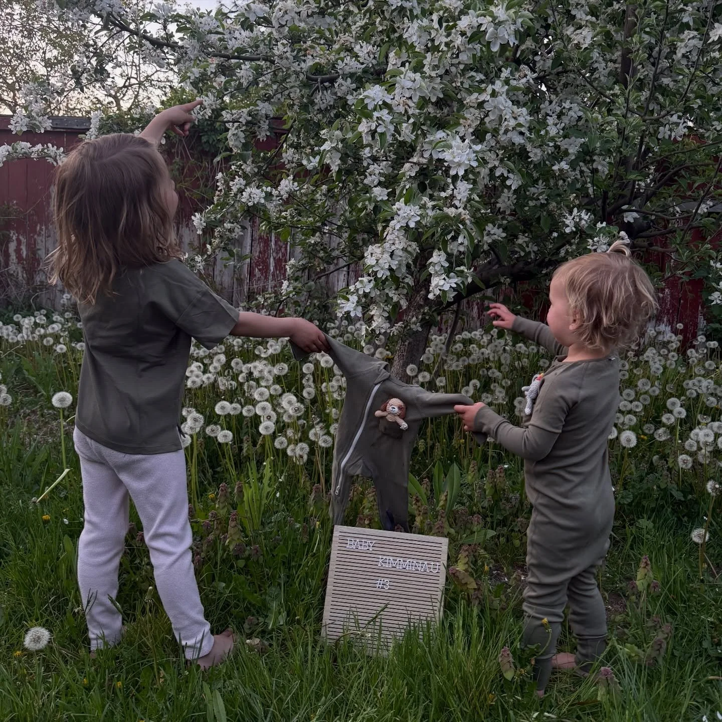 The Baby Gear Consultant Baby #3 will be joining our family in early November! We are overjoyed to be at this point after a long year with many ups and downs including multiple failed embryo transfers and a miscarriage. Though the plan all along was 
