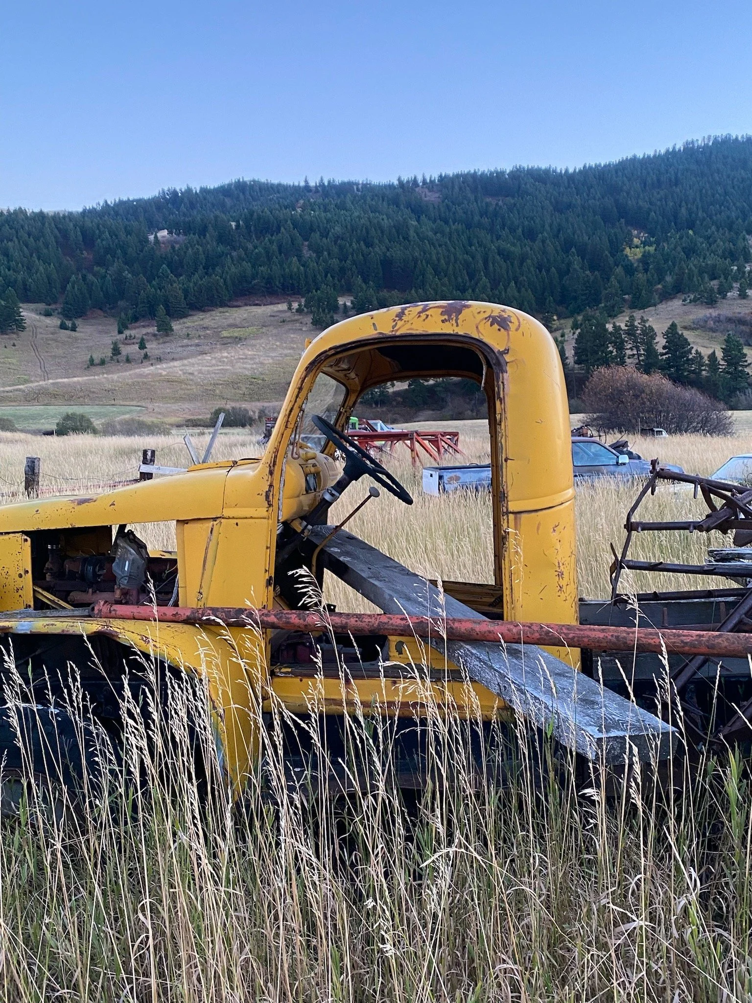 Fall Colors and Water