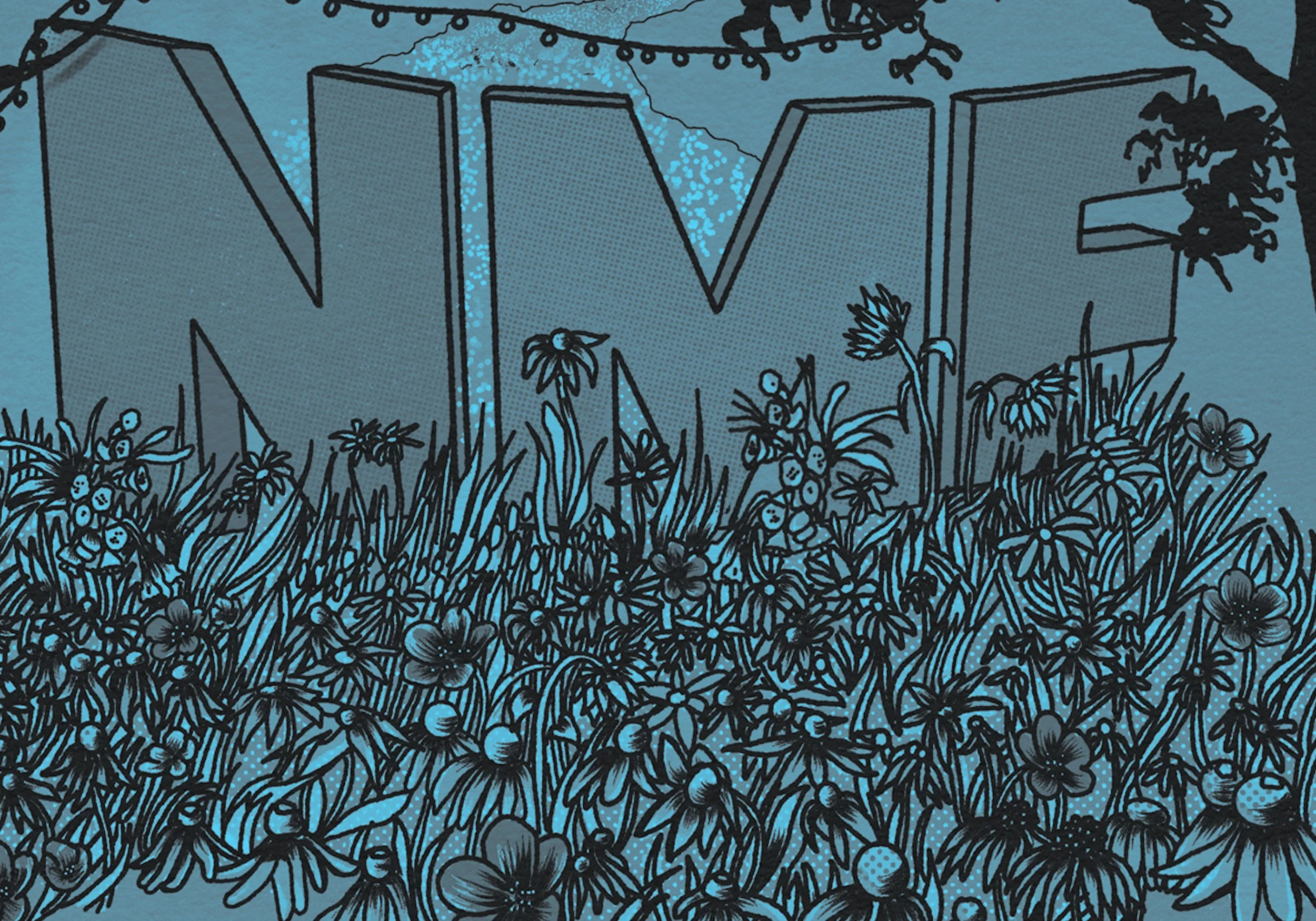 NELSONVILLE MUSIC FESTIVAL WEB ADS