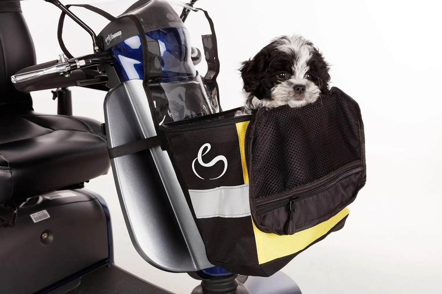 A small black and white puppy sitting inside a yellow and black basket attached to the front of an electric scooter.