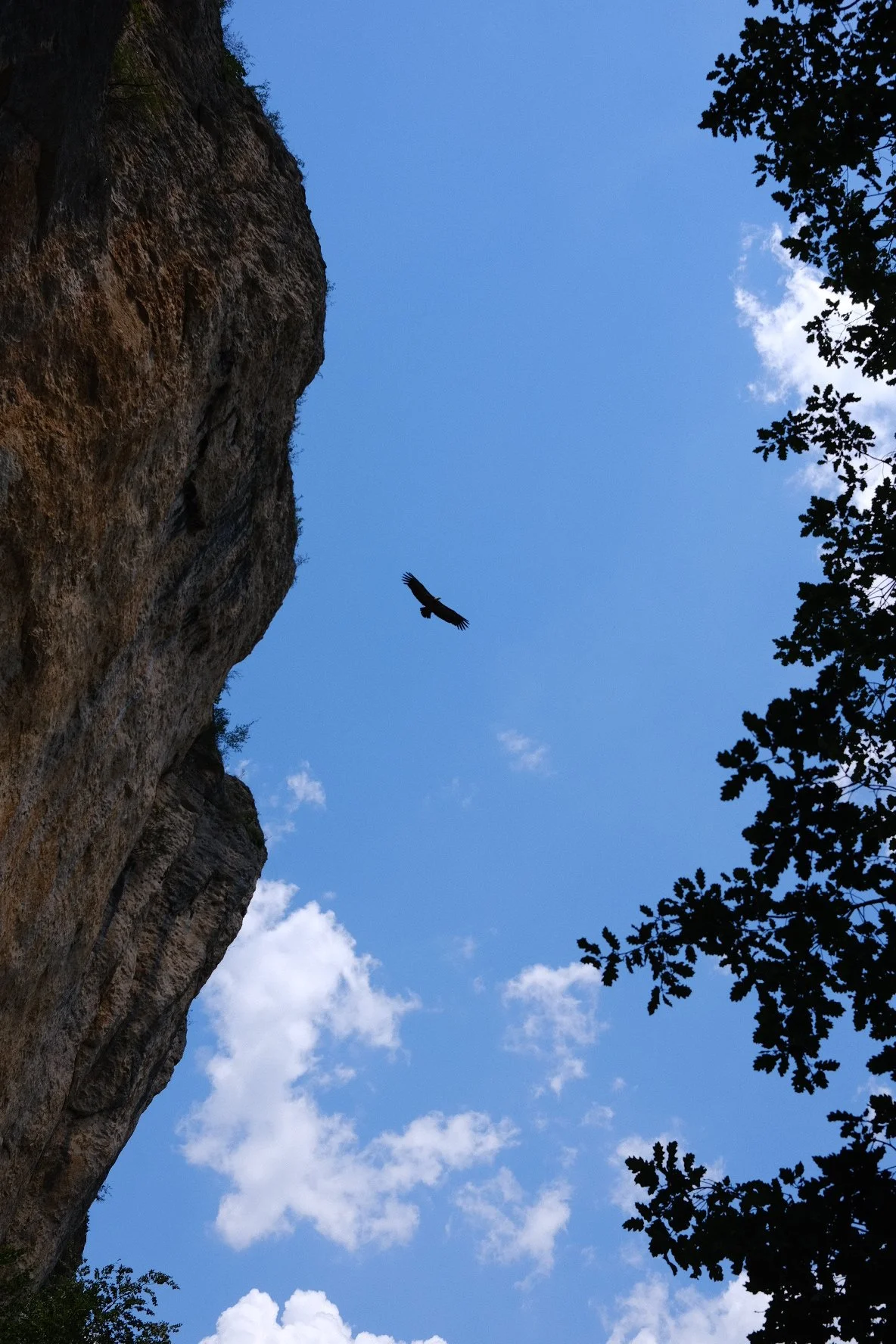 DSCF1233.JPG