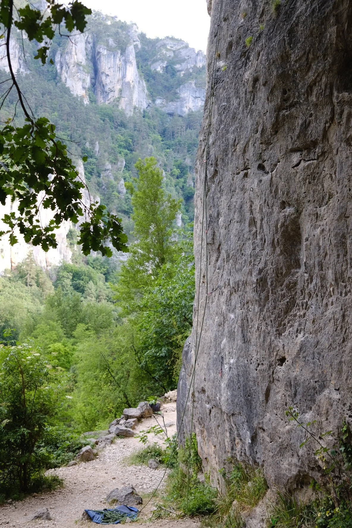 DSCF1281.JPG