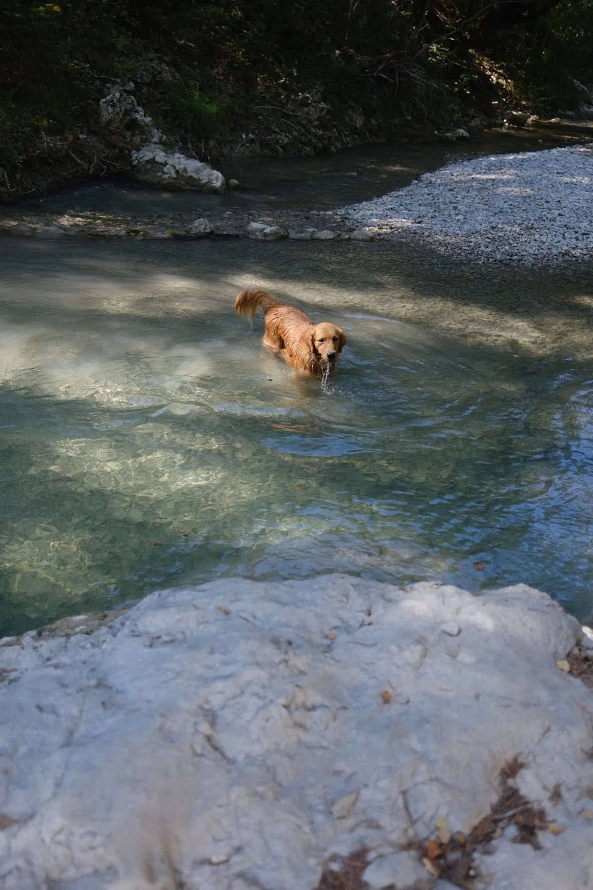 DSCF4700.JPG