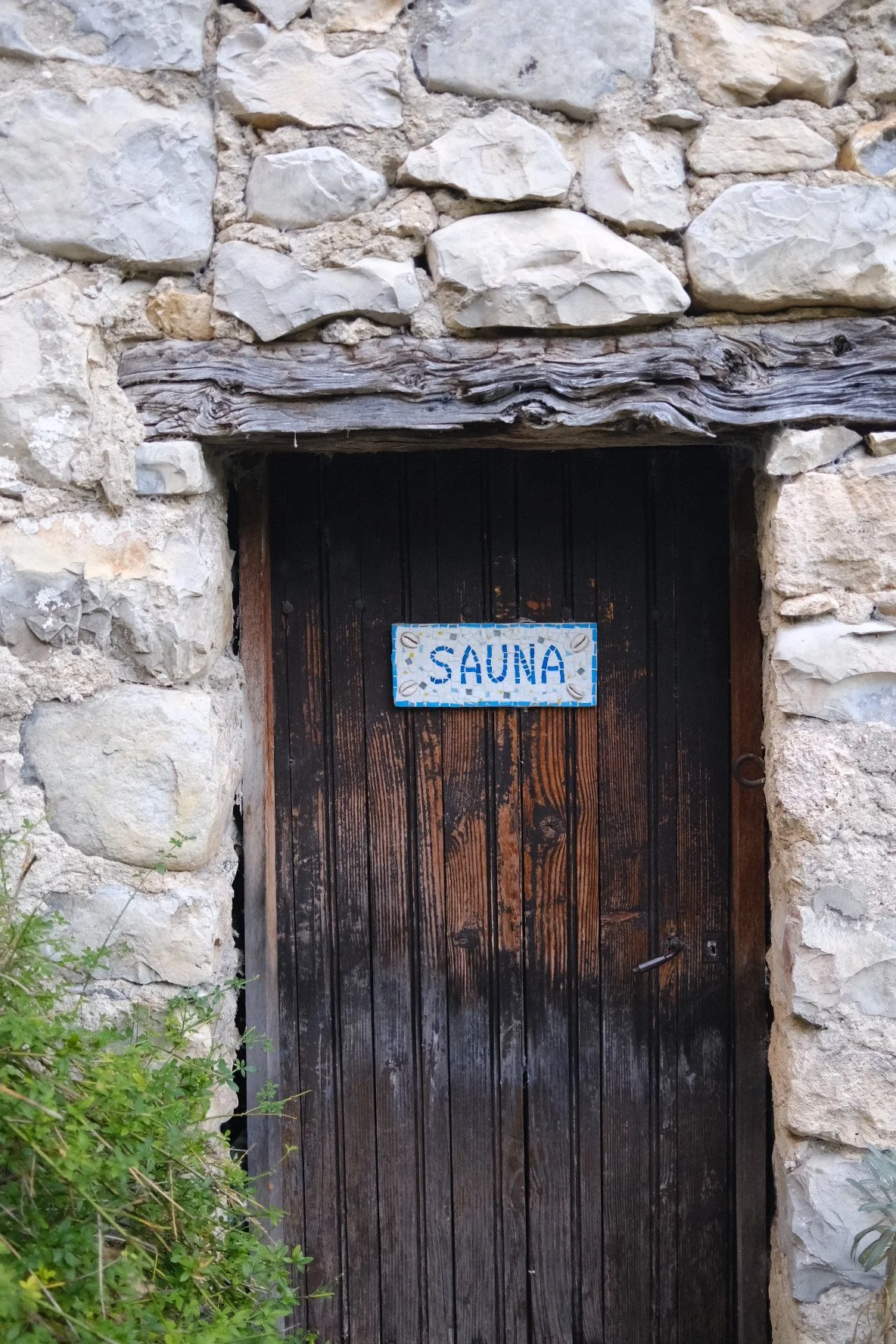 DSCF4781.JPG