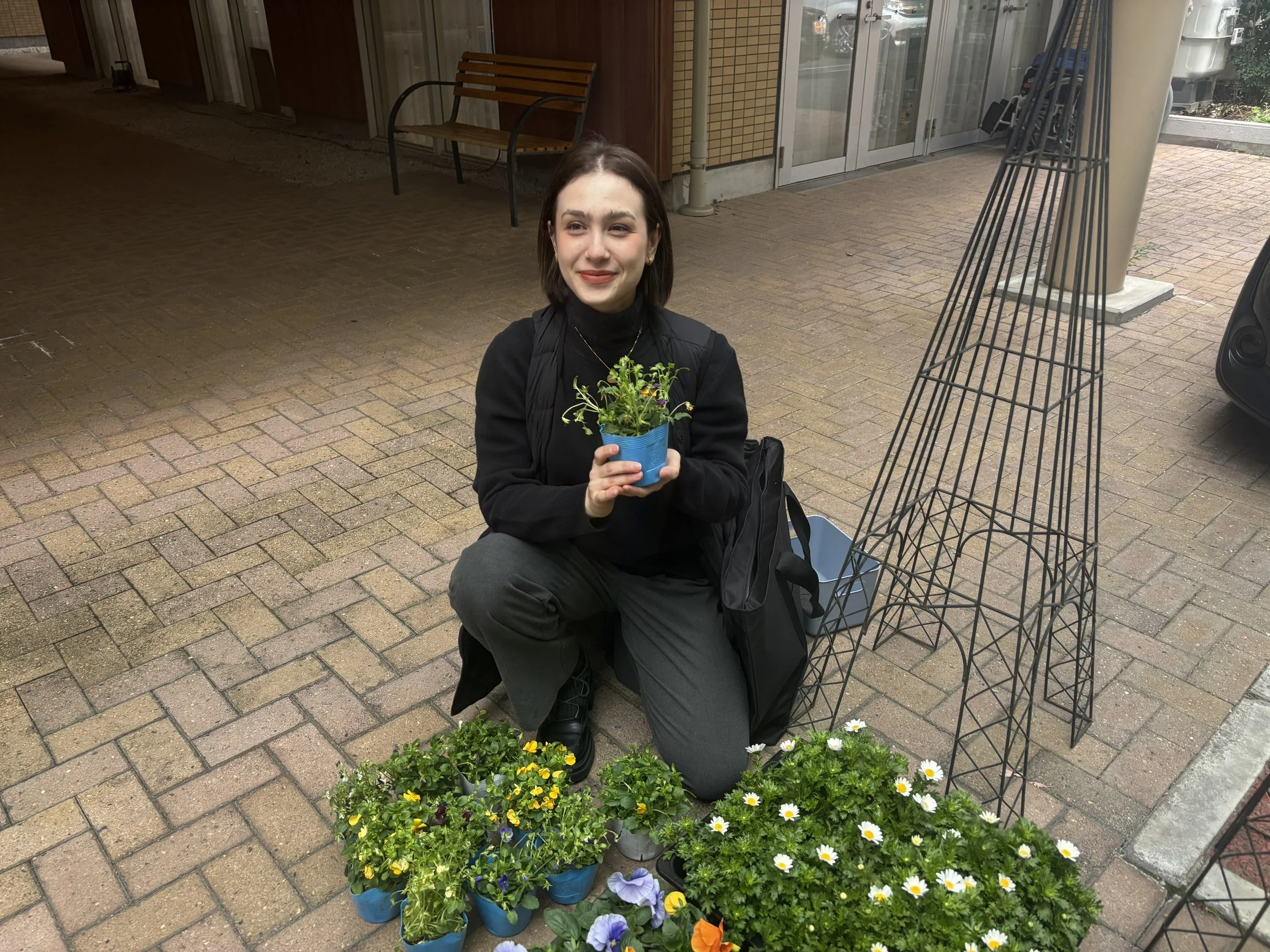 鉢花を再活用する取り組みについて