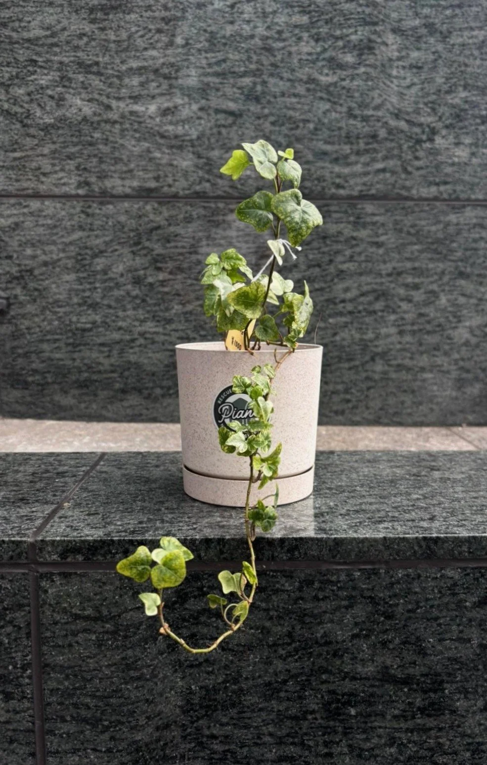 WhatsApp Image 2025-11-07 at 13.39.08_f62921ba.jpg