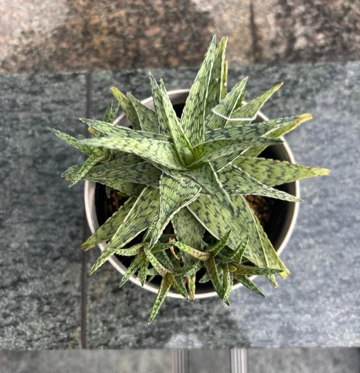 WhatsApp Image 2025-11-07 at 13.39.05_f532722f.jpg