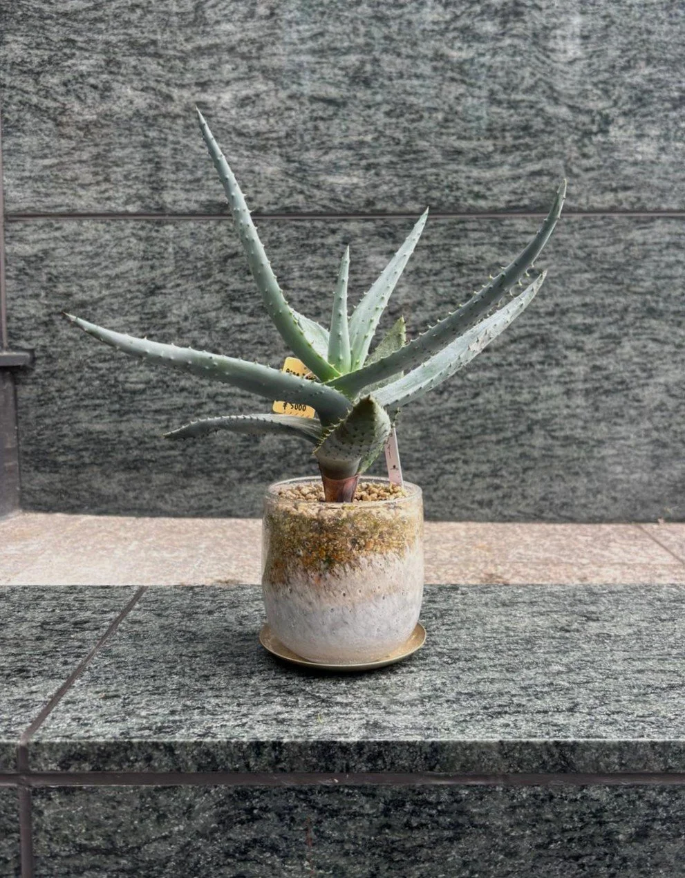 WhatsApp Image 2025-11-07 at 13.39.09_b4eb2b4f.jpg