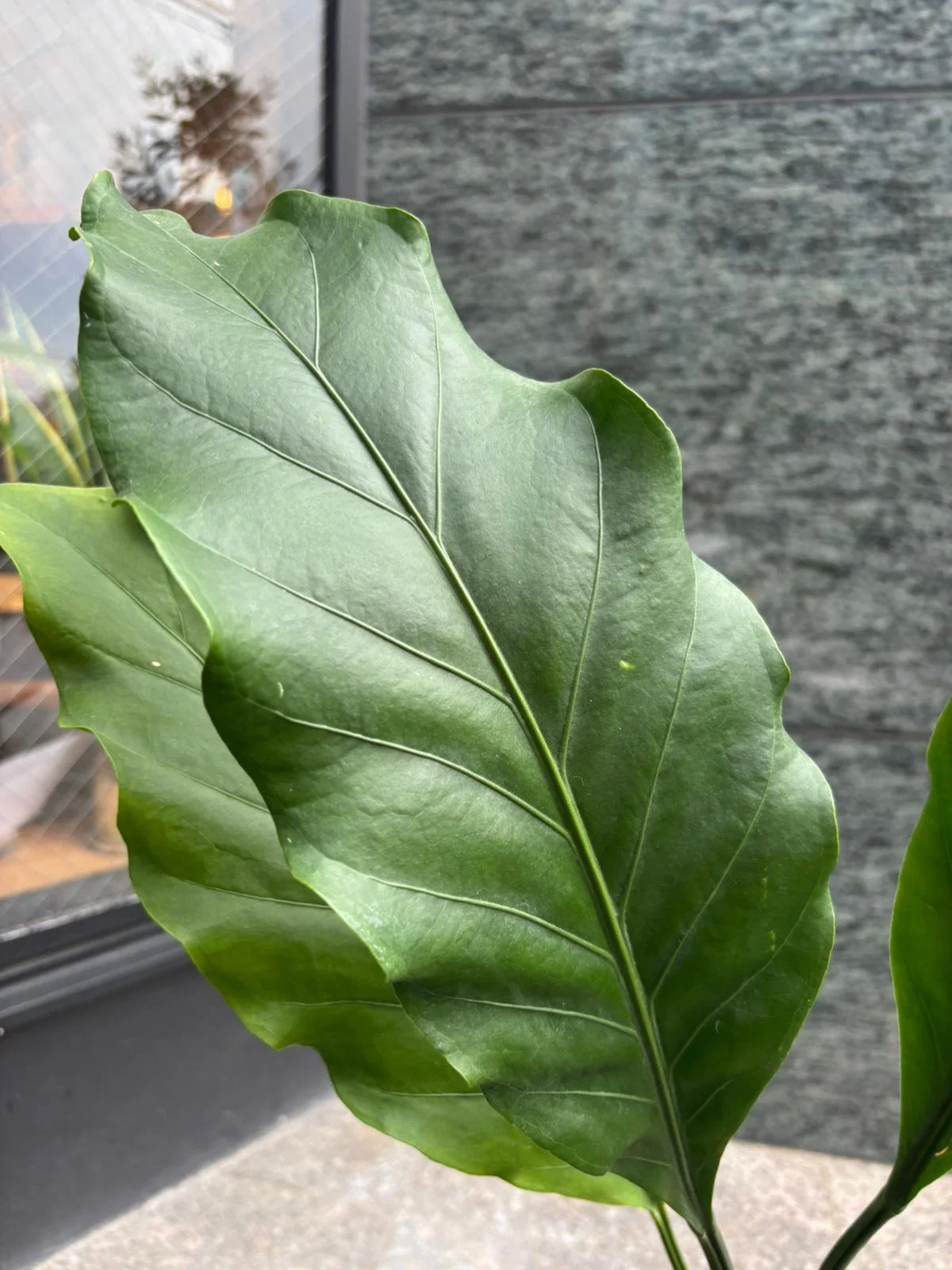 WhatsApp Image 2025-11-07 at 13.39.13_809ea0f4.jpg