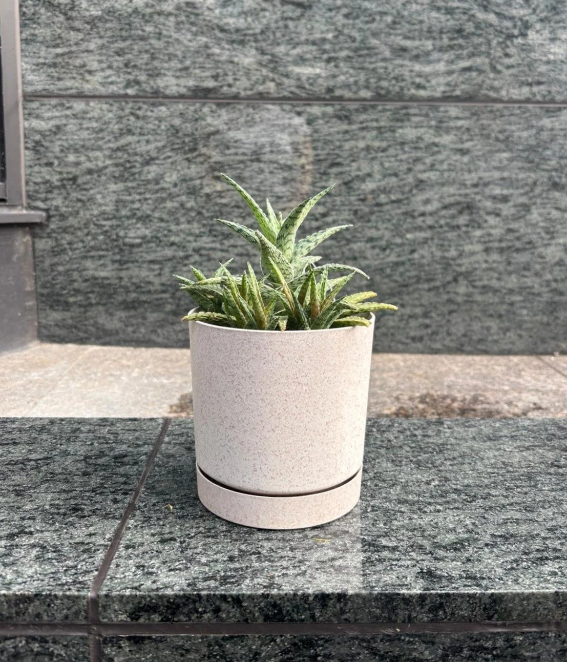 WhatsApp Image 2025-11-07 at 13.39.04_989ae3f7.jpg