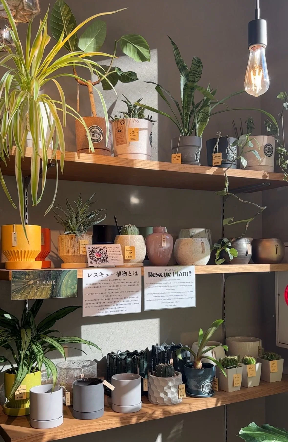 WhatsApp Image 2025-11-19 at 19.15.52_71859c24.jpg