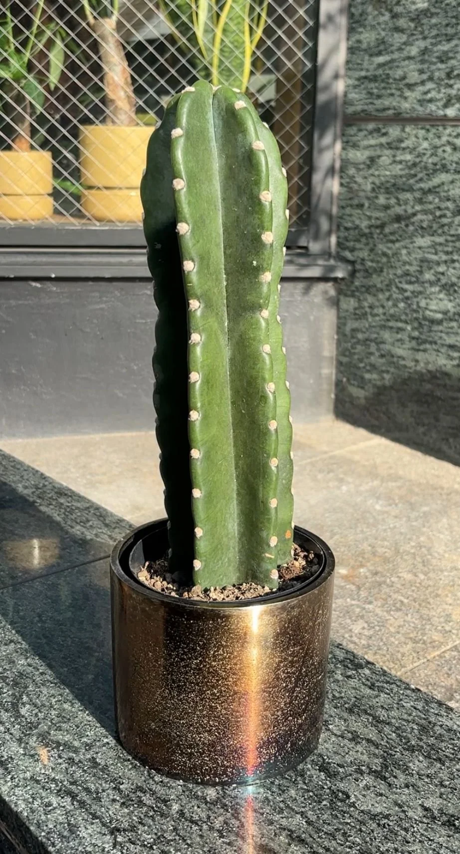 WhatsApp Image 2025-11-19 at 19.12.22_4aa93642.jpg