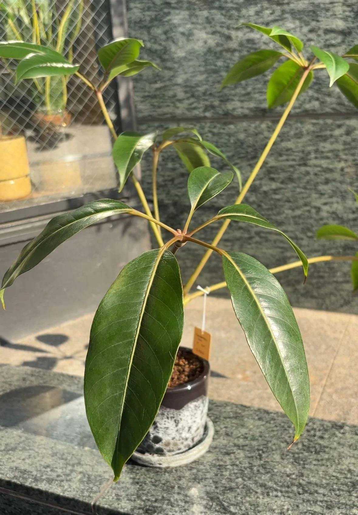 WhatsApp Image 2025-11-19 at 19.12.22_eba724f7.jpg