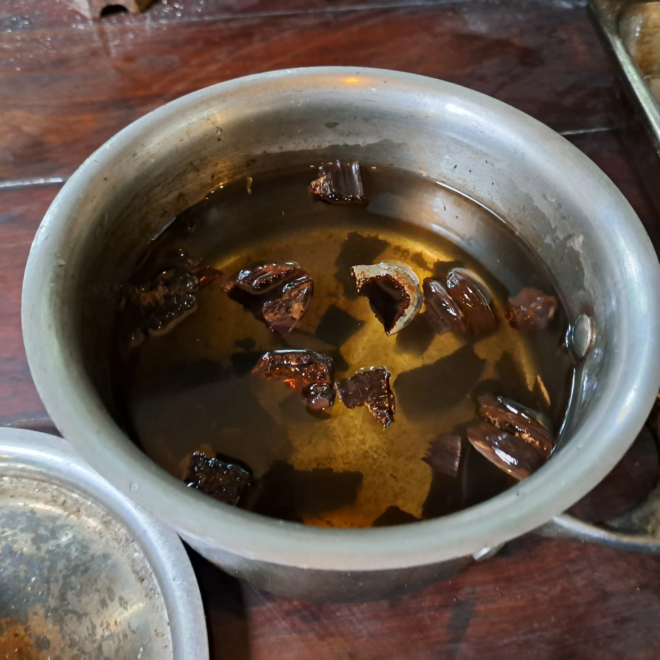 wildcrafted reishi tonic tea