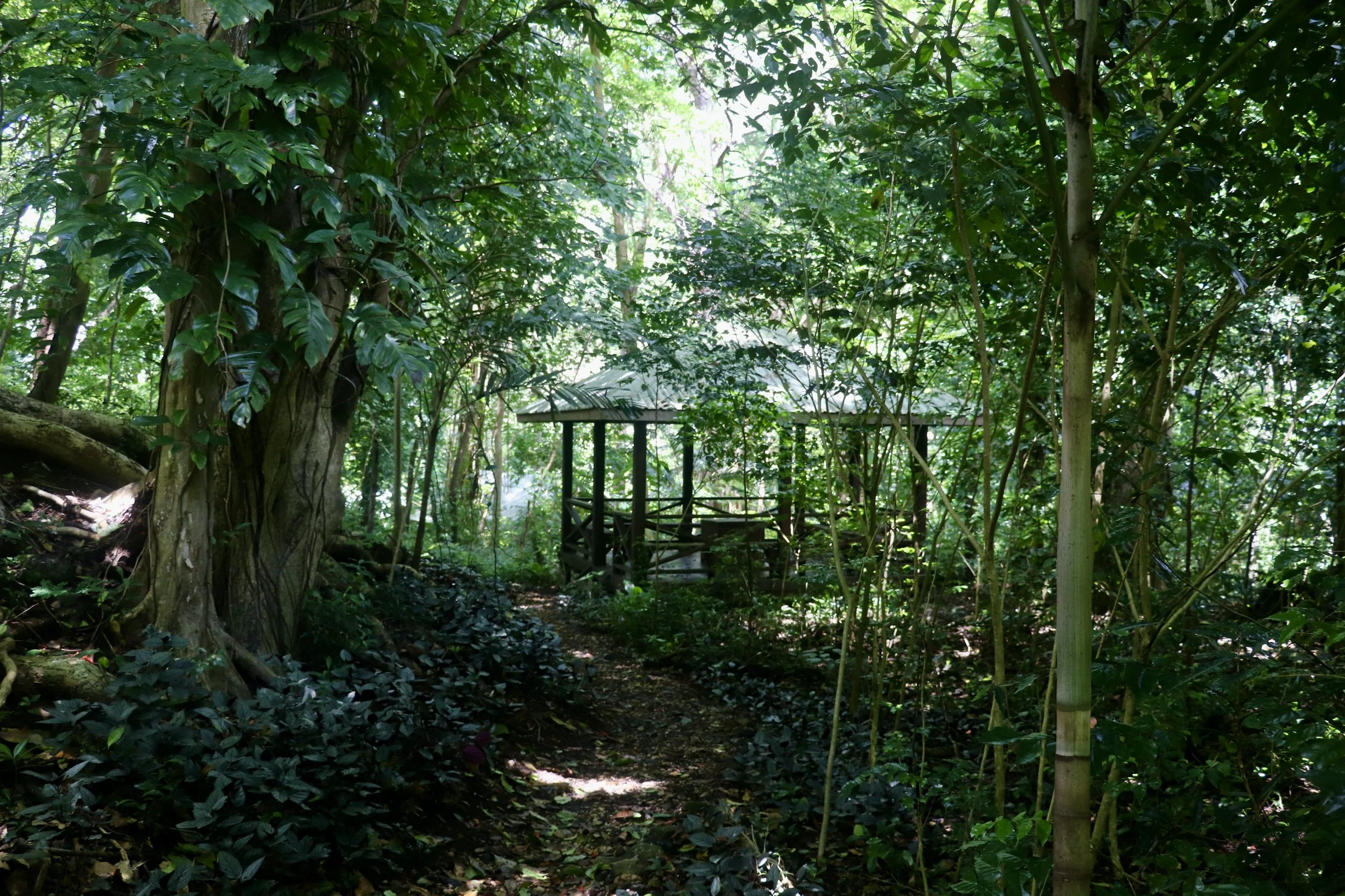 On Ecovillage