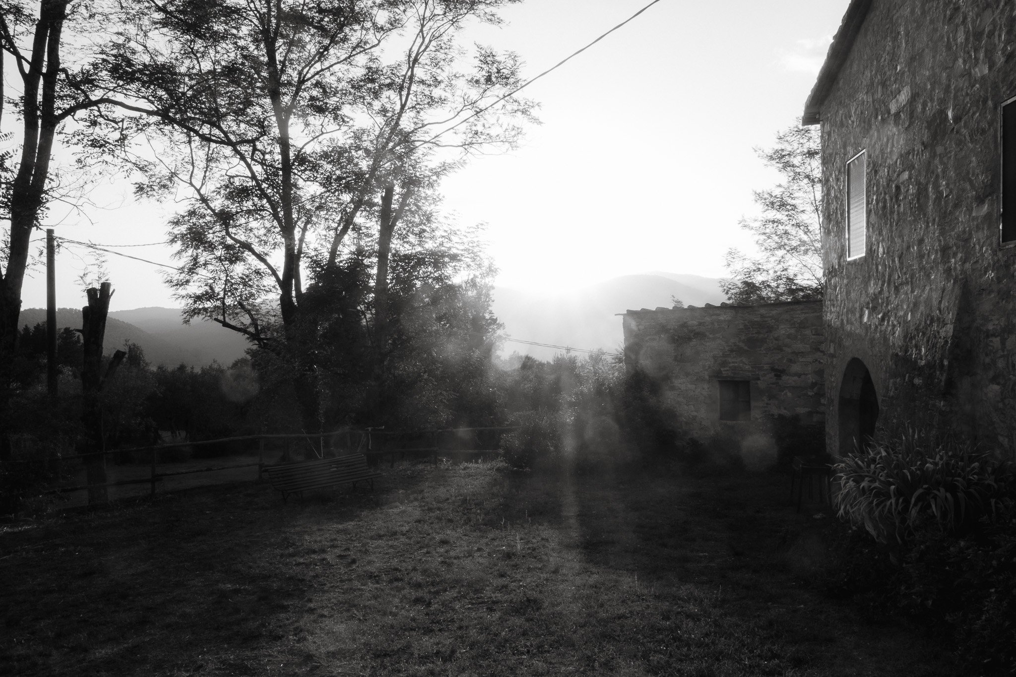 DSCF1435.jpg