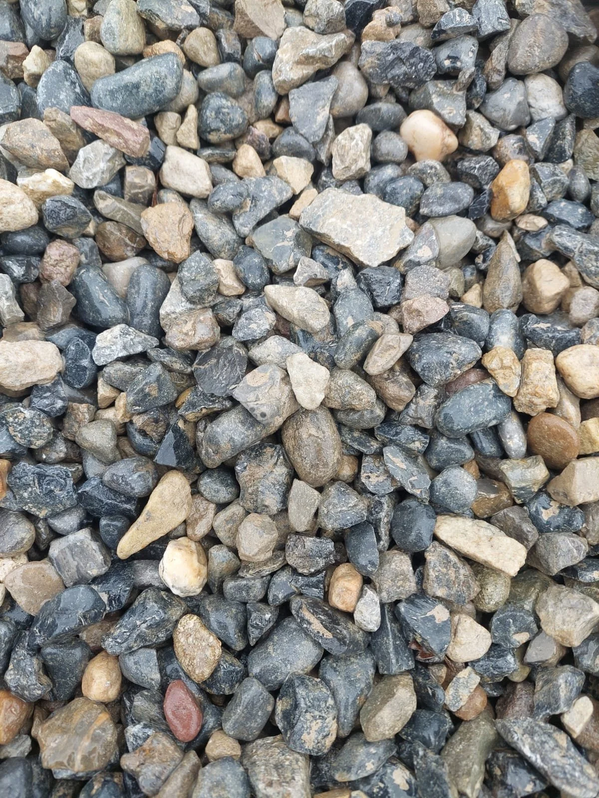 PHOTO-2025-10-18-14-04-13 4.jpg