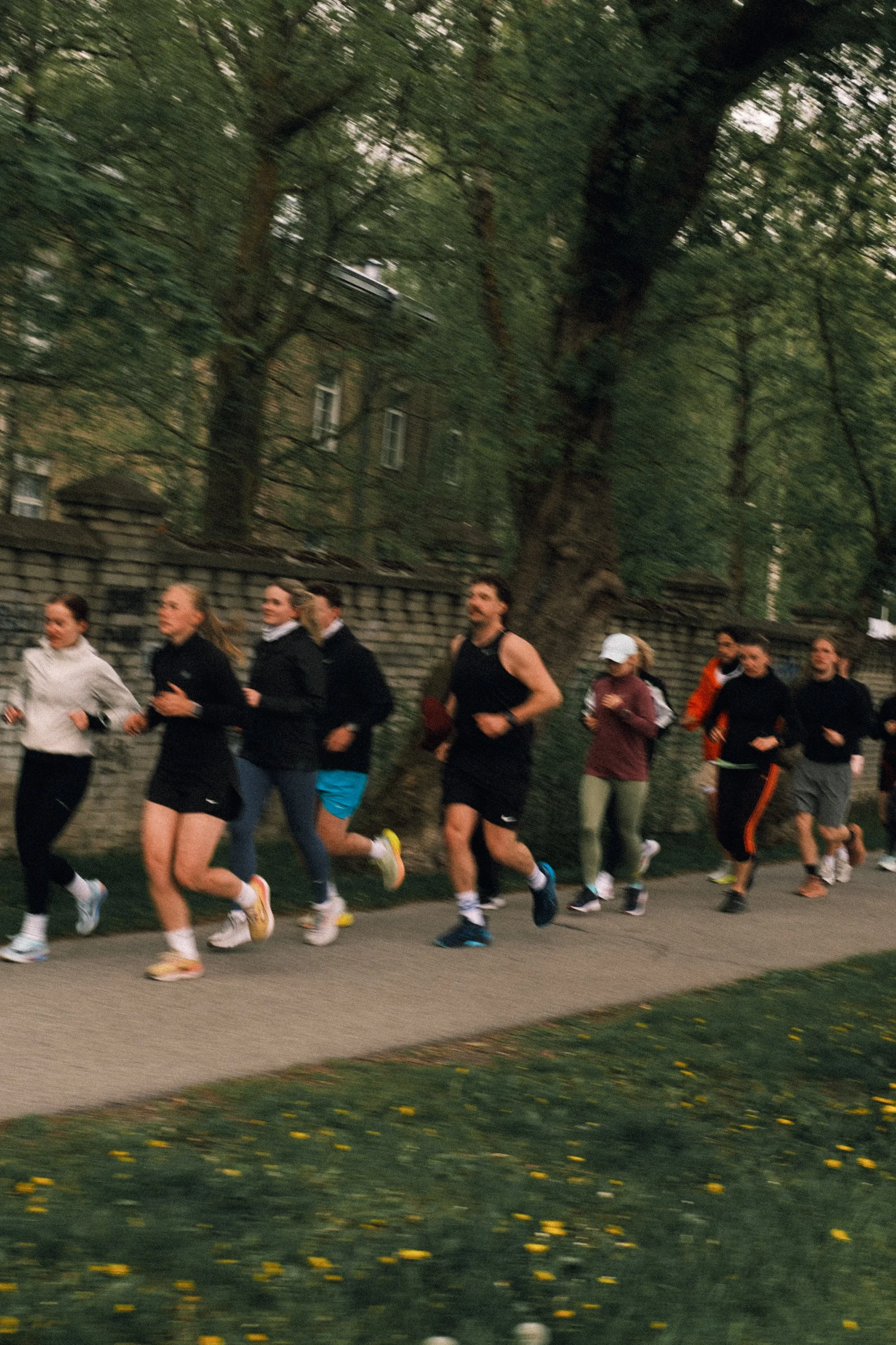 MartinKosseson-4451.jpg