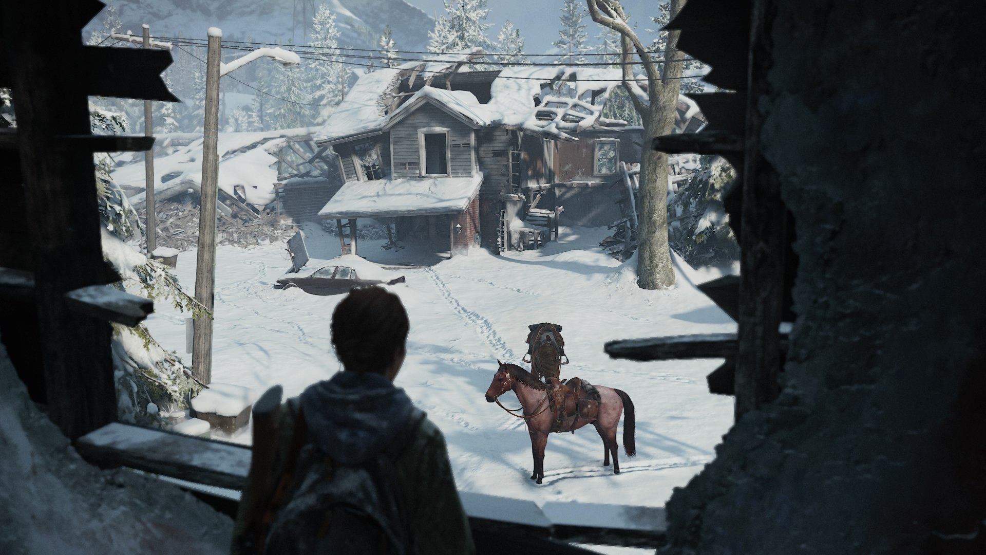 The Last of Us™ Part II_20200619131521.jpg