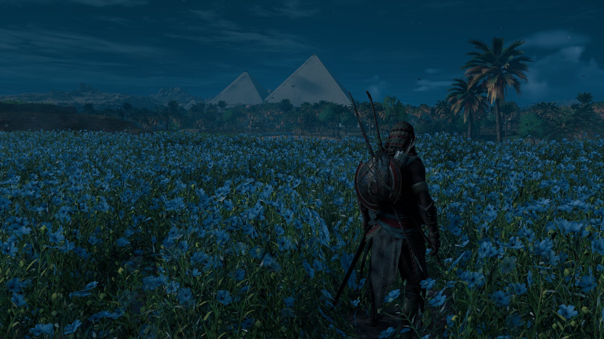 Assassin's Creed® Origins__22.jpeg