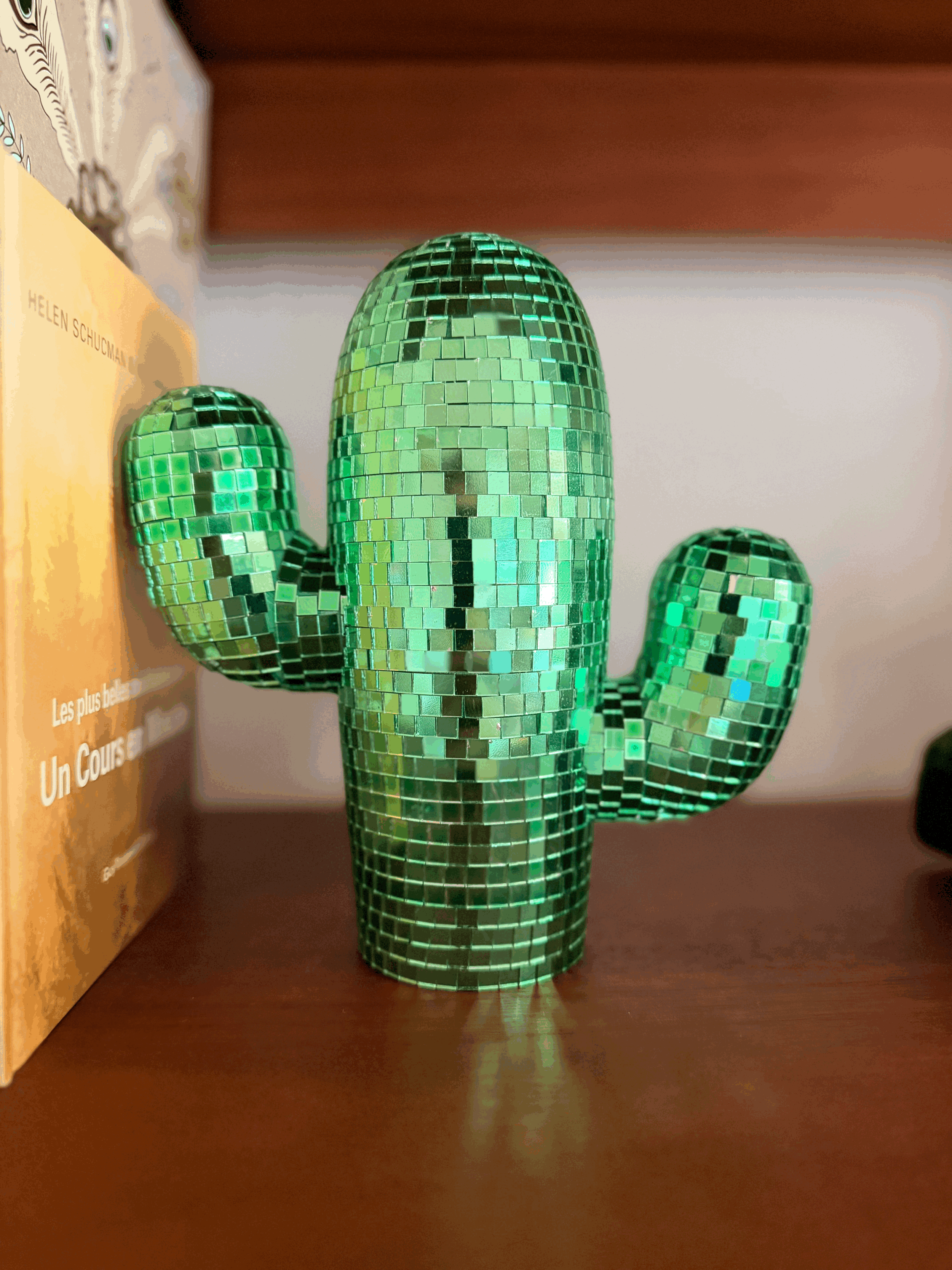 tempImageOFSxNS.gif