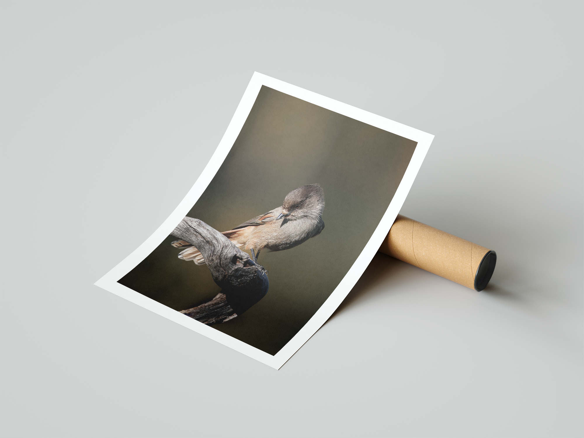 jay poster.png