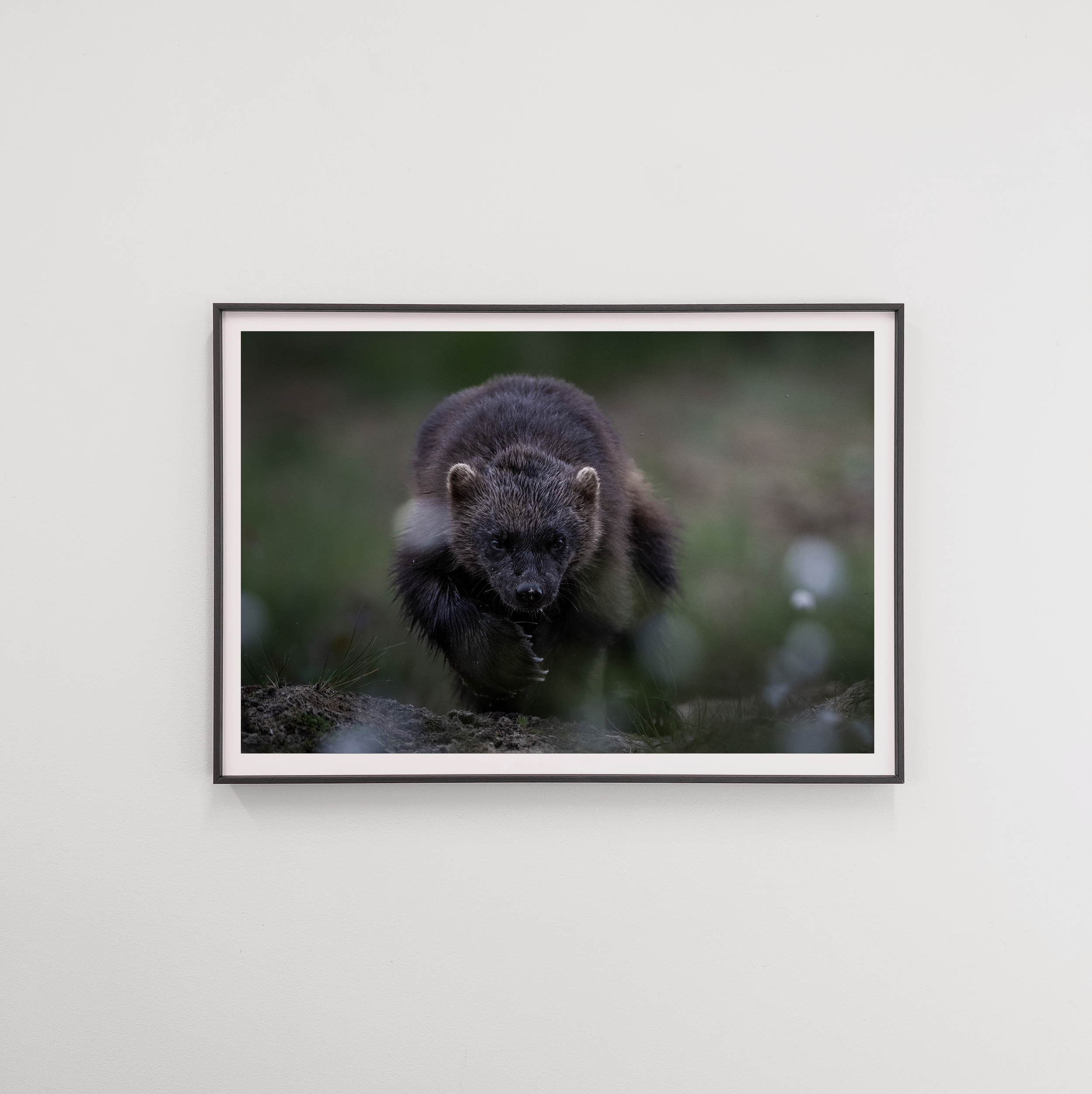 wolverine frame.png