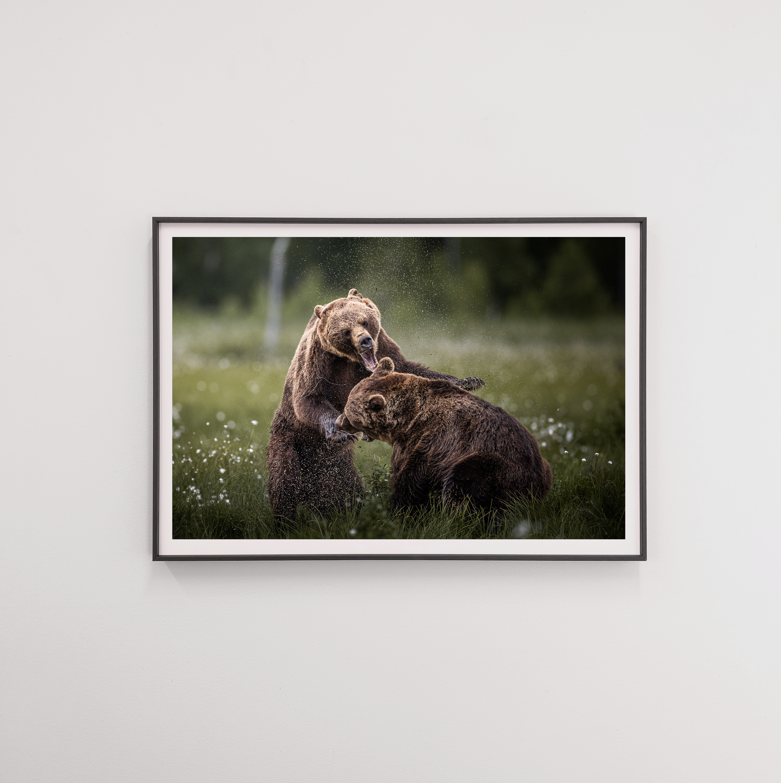 bear5 frame.png