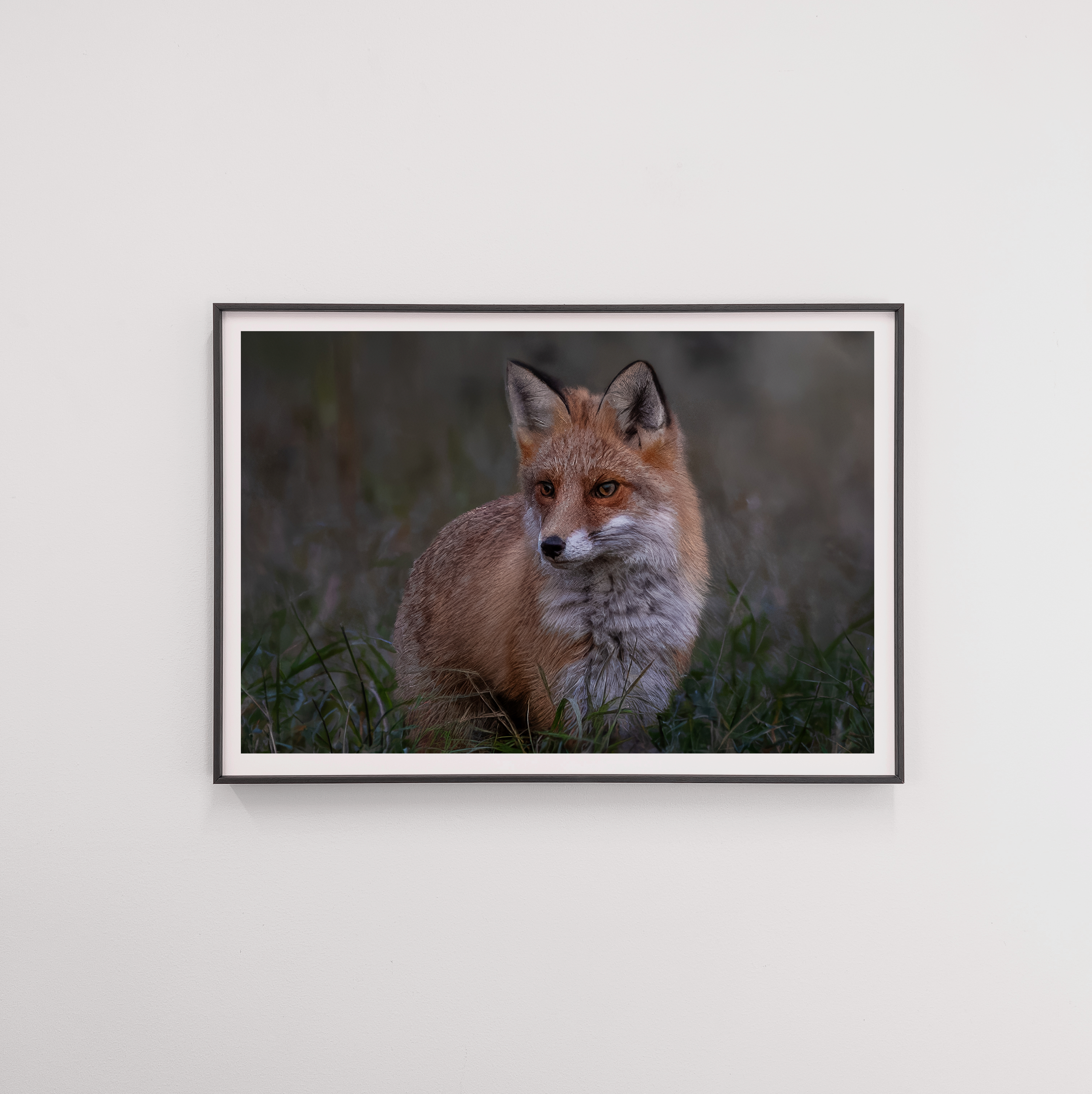 fox frame.png