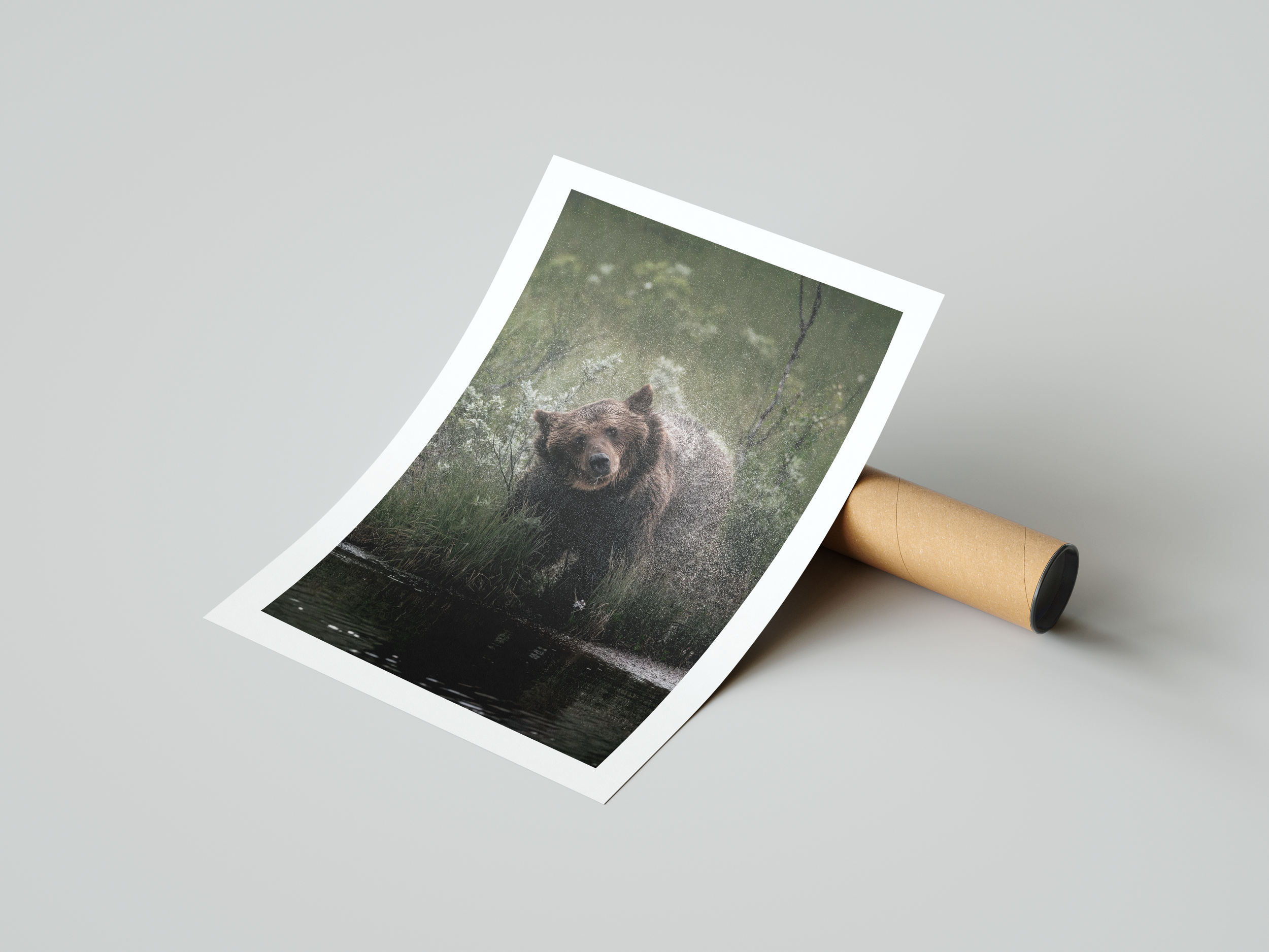 Tony juliste karhu 12.png