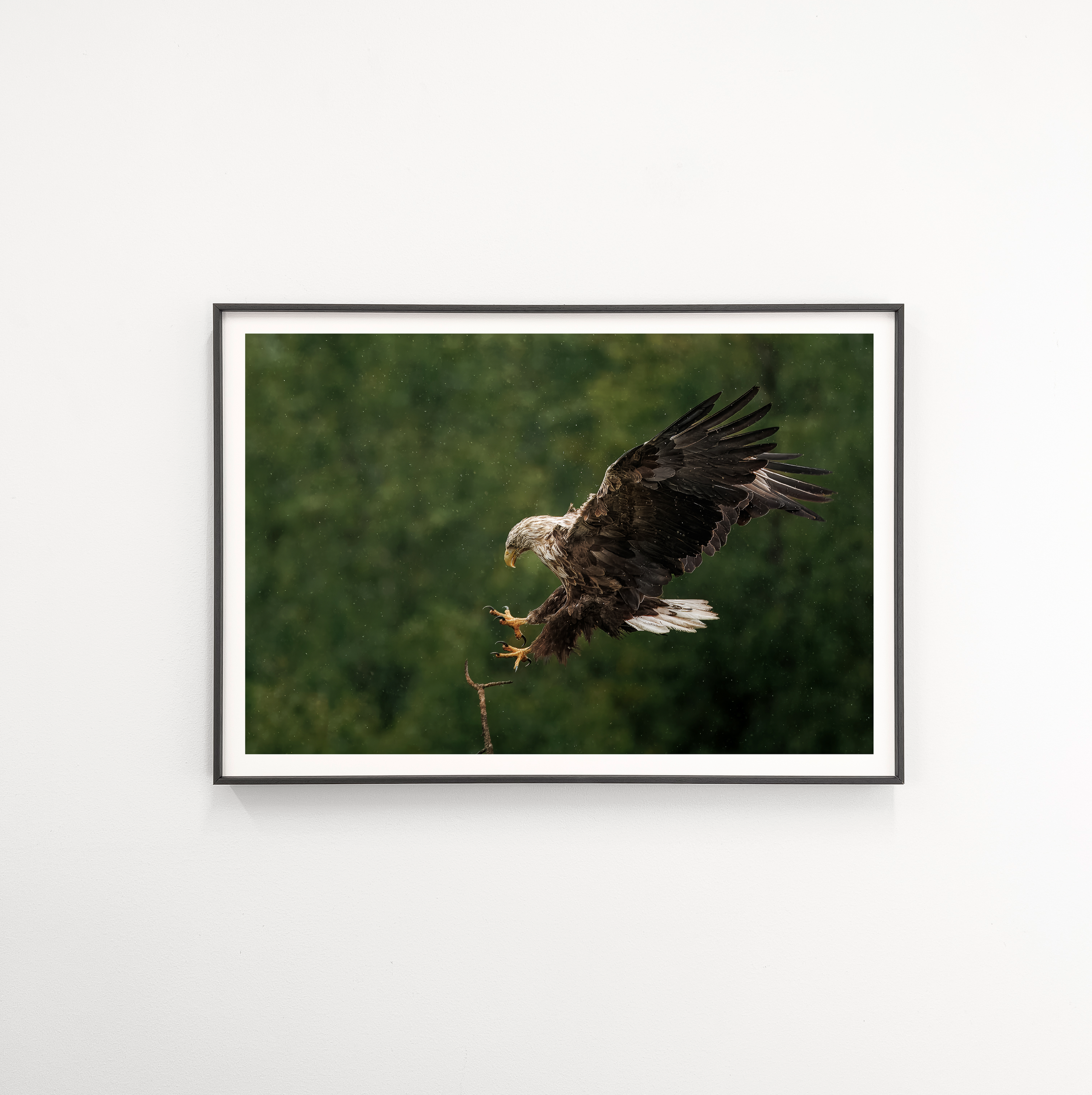 Dialab aluviilumalli musta meko2.png