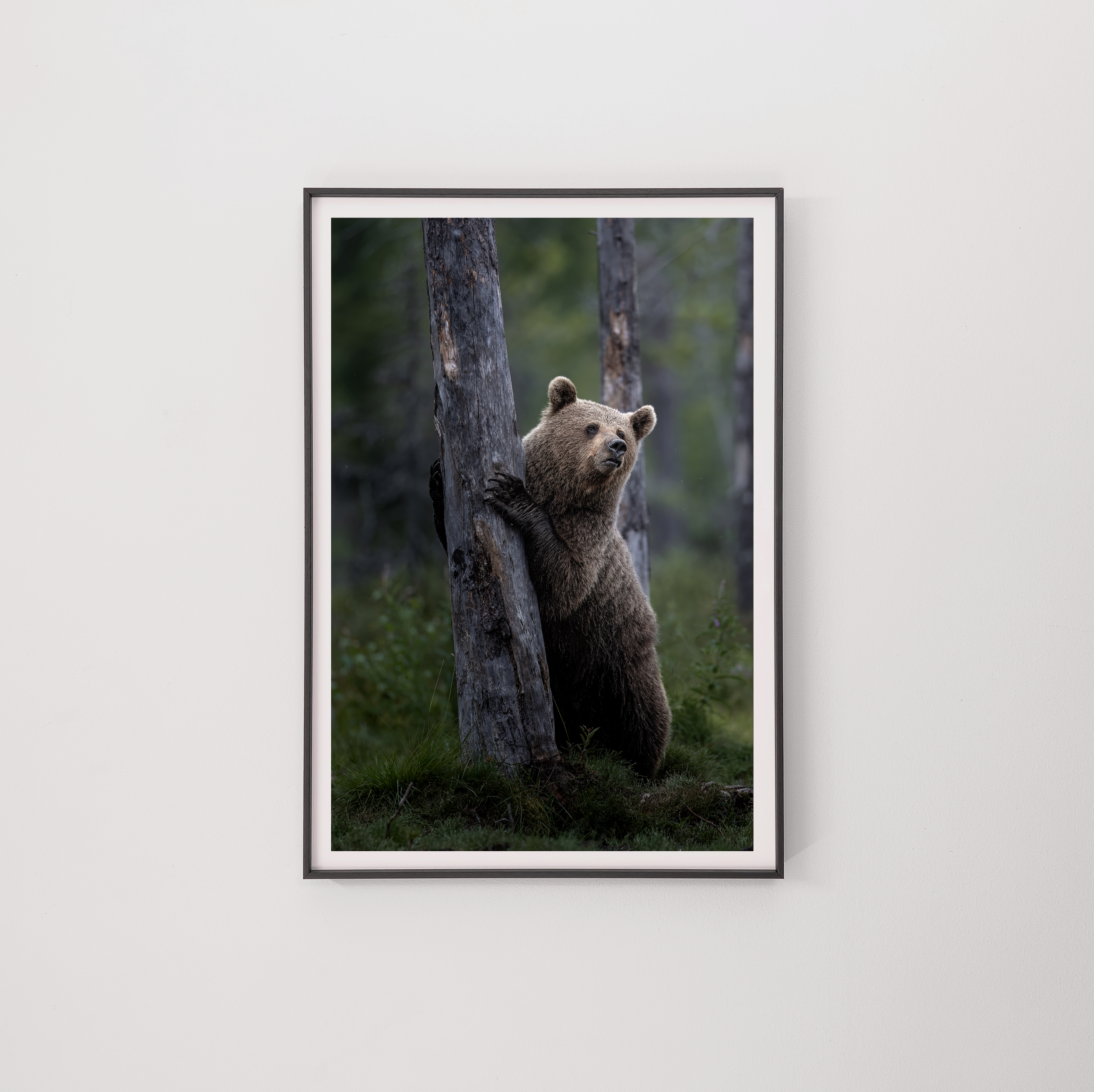 bear7 frame.png