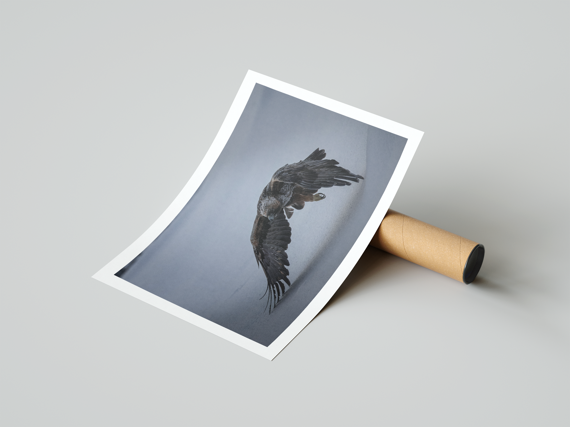 eagle9 poster.png