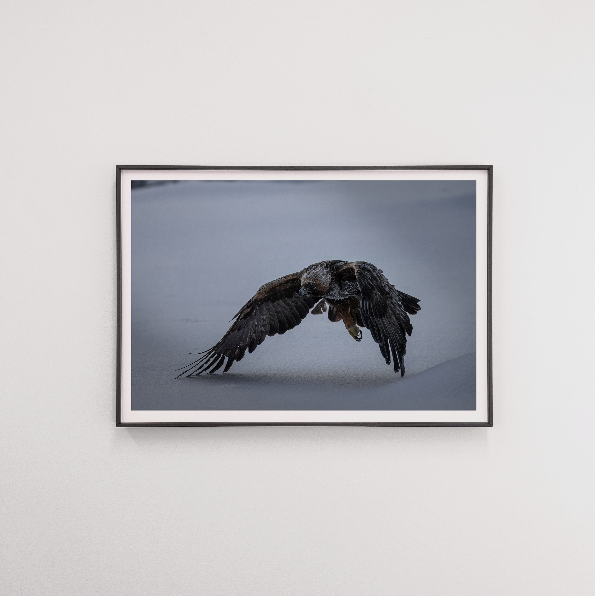 eagle9 frame.png