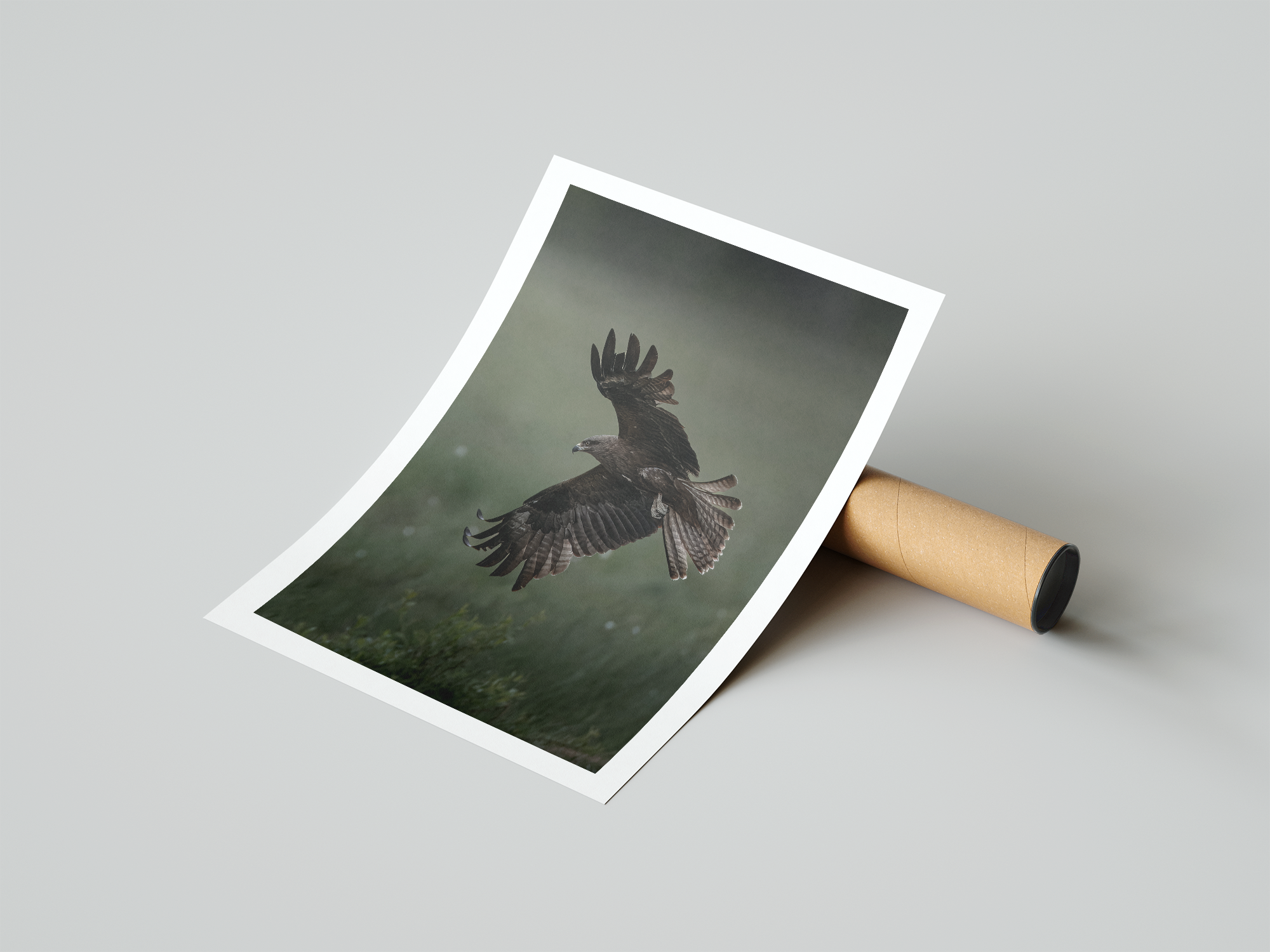 kite poster.png
