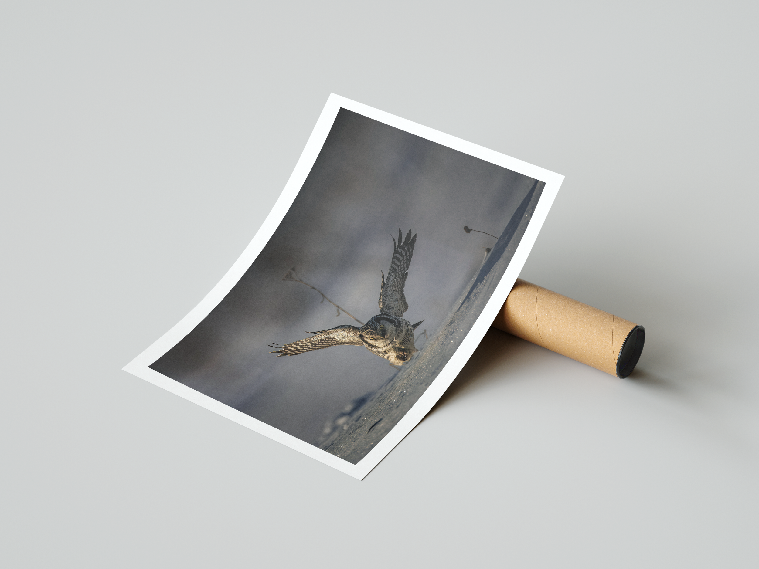 Tony Ranta poster hawkowl.png