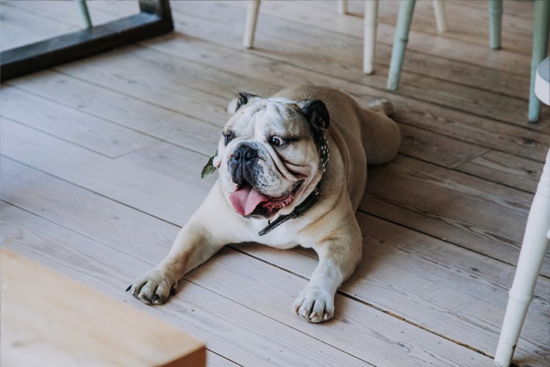 HARLOW ESSEX FAMILY PHOTOGRAPHER