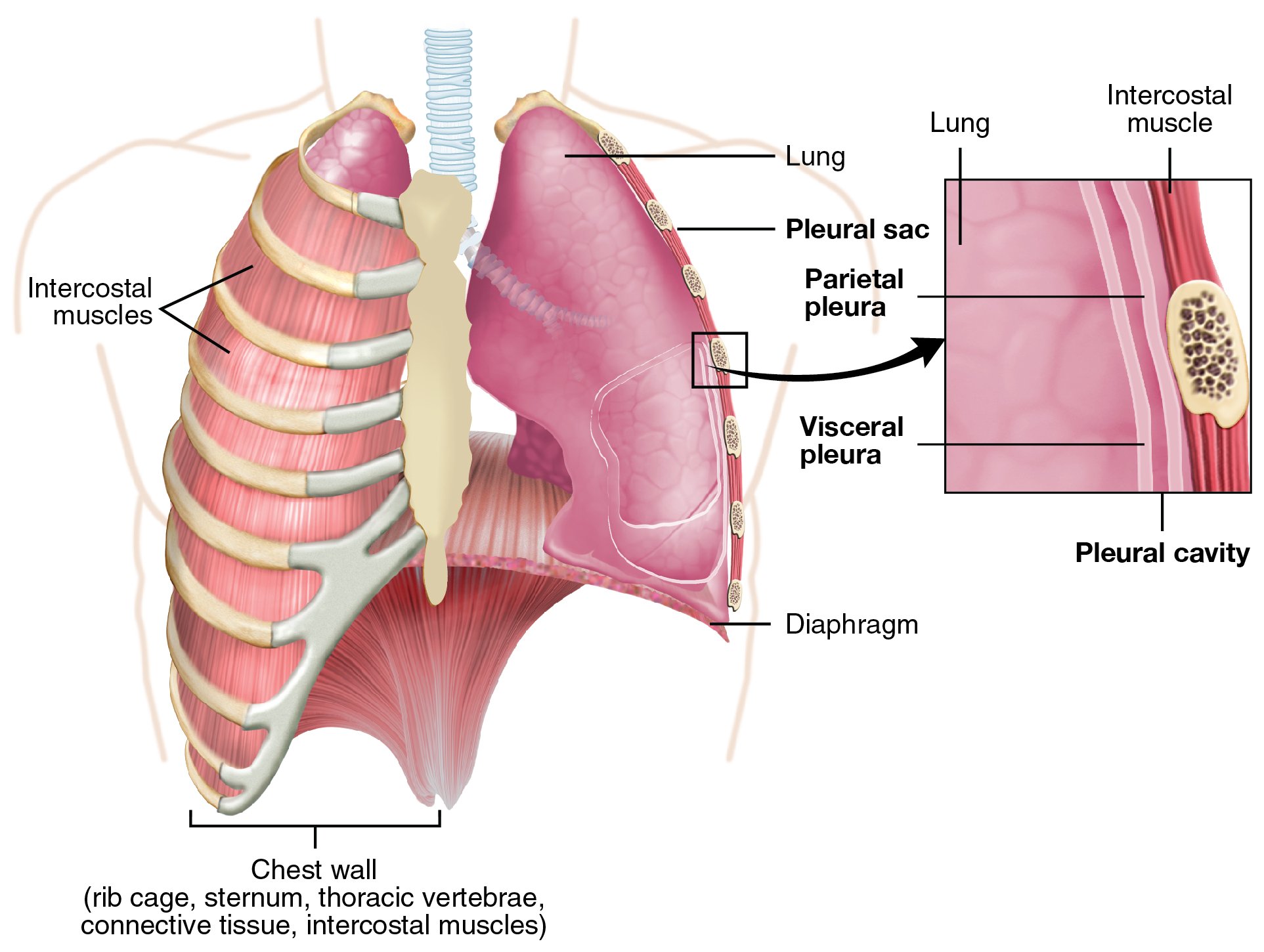 Long COVID