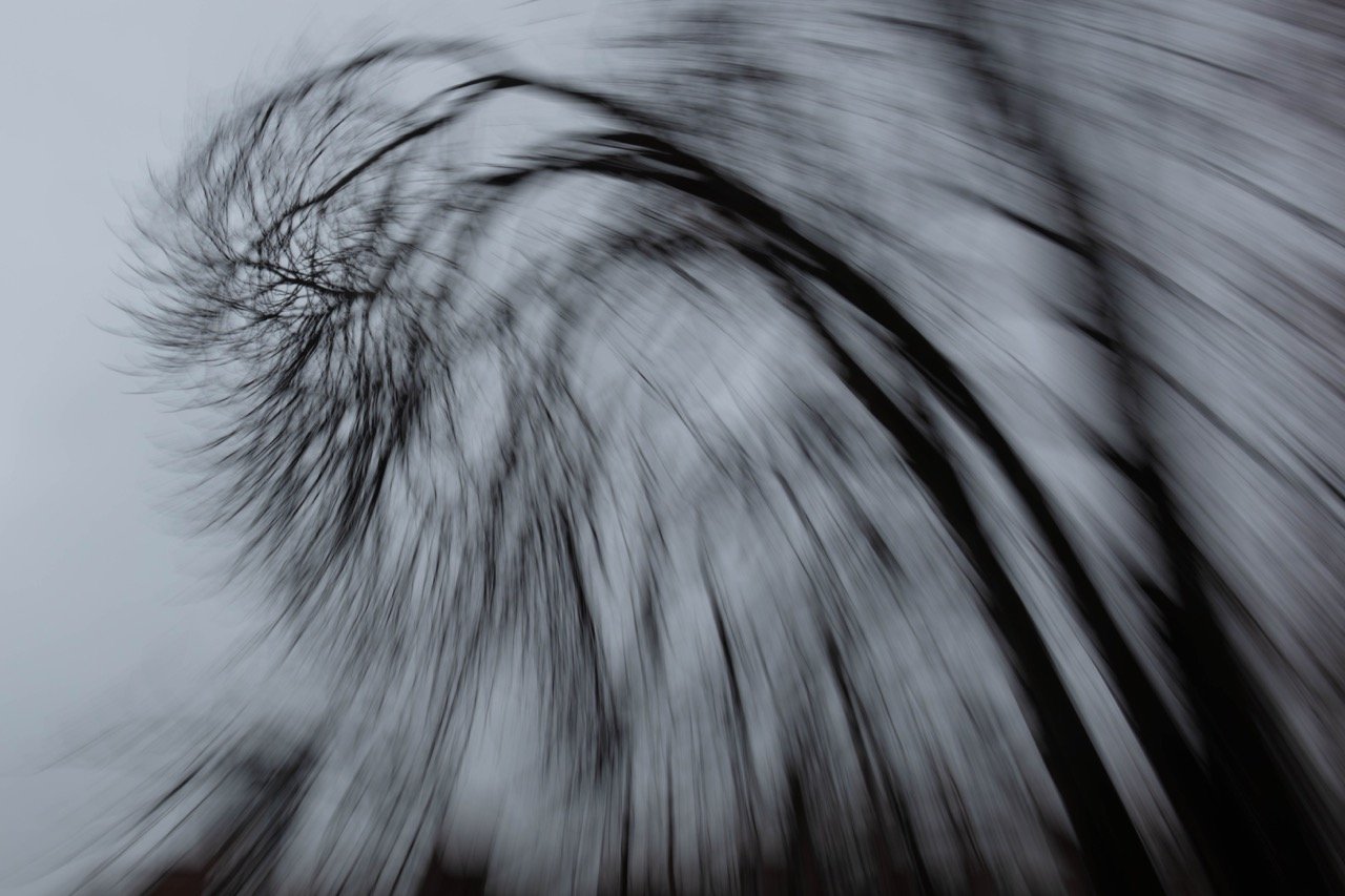 Alexander Lorenzutti - Drahdibamer