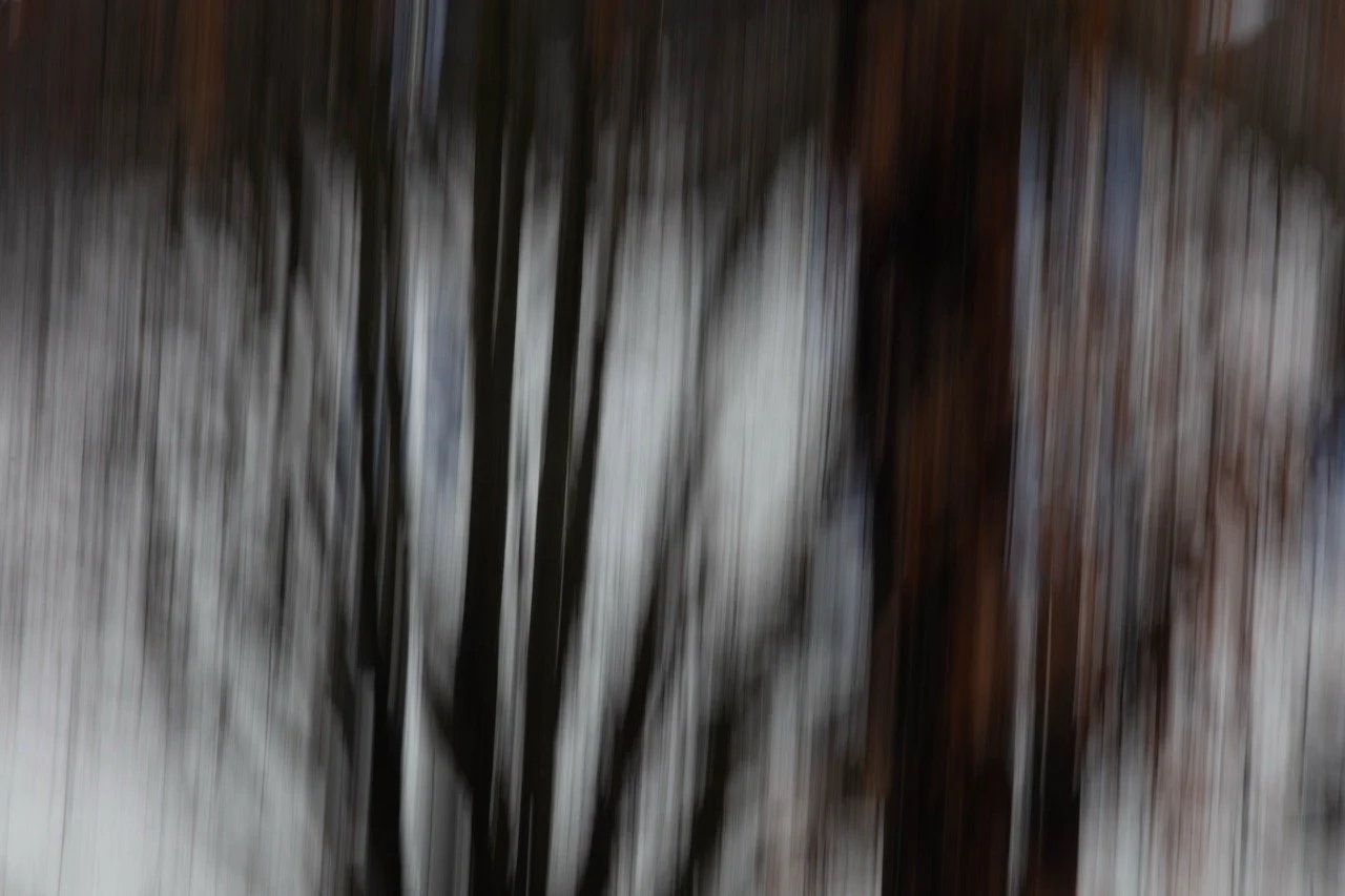 Alexander Lorenzutti - Waldsturz