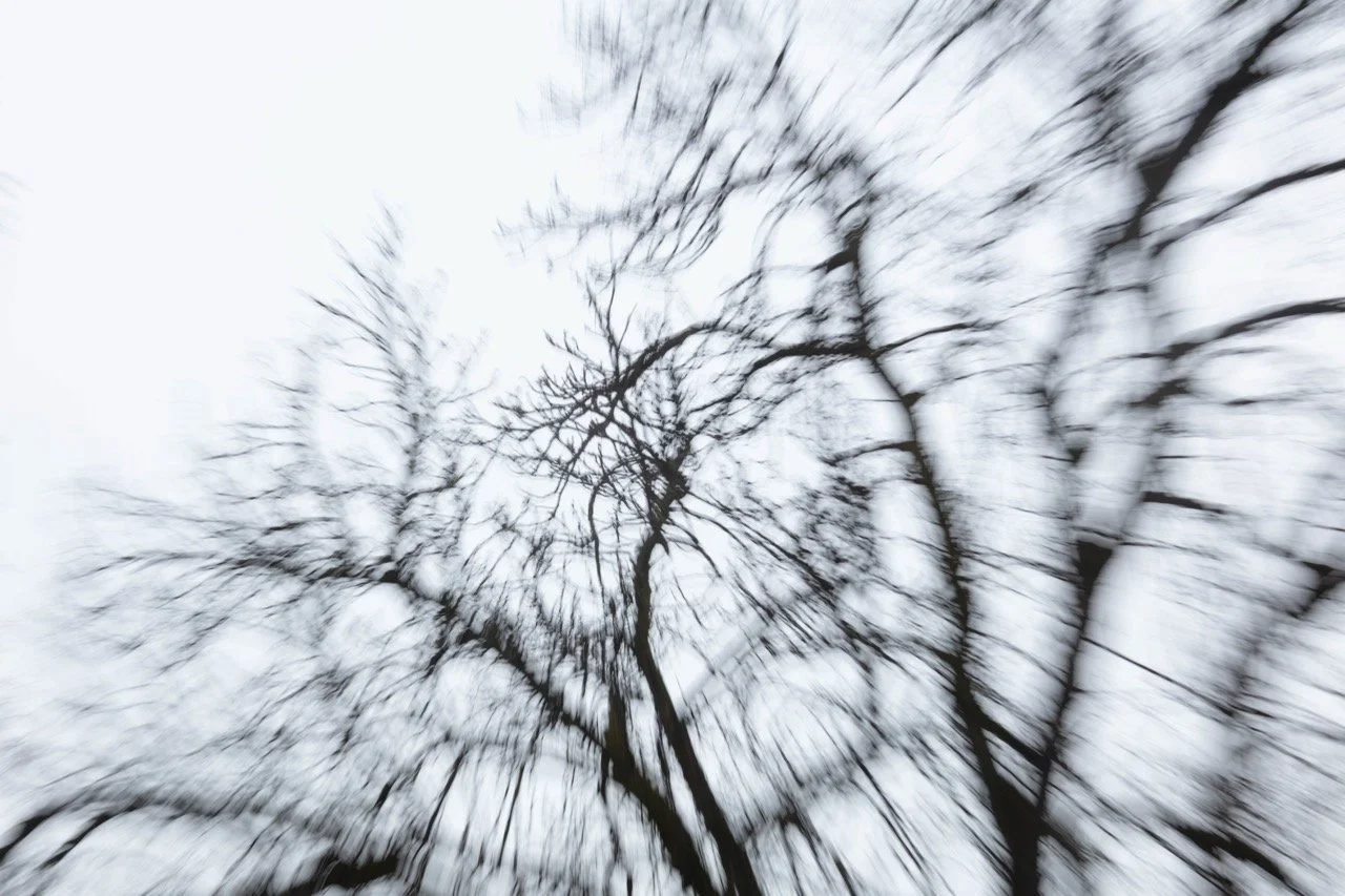 Alexander Lorenzutti - Astzoom