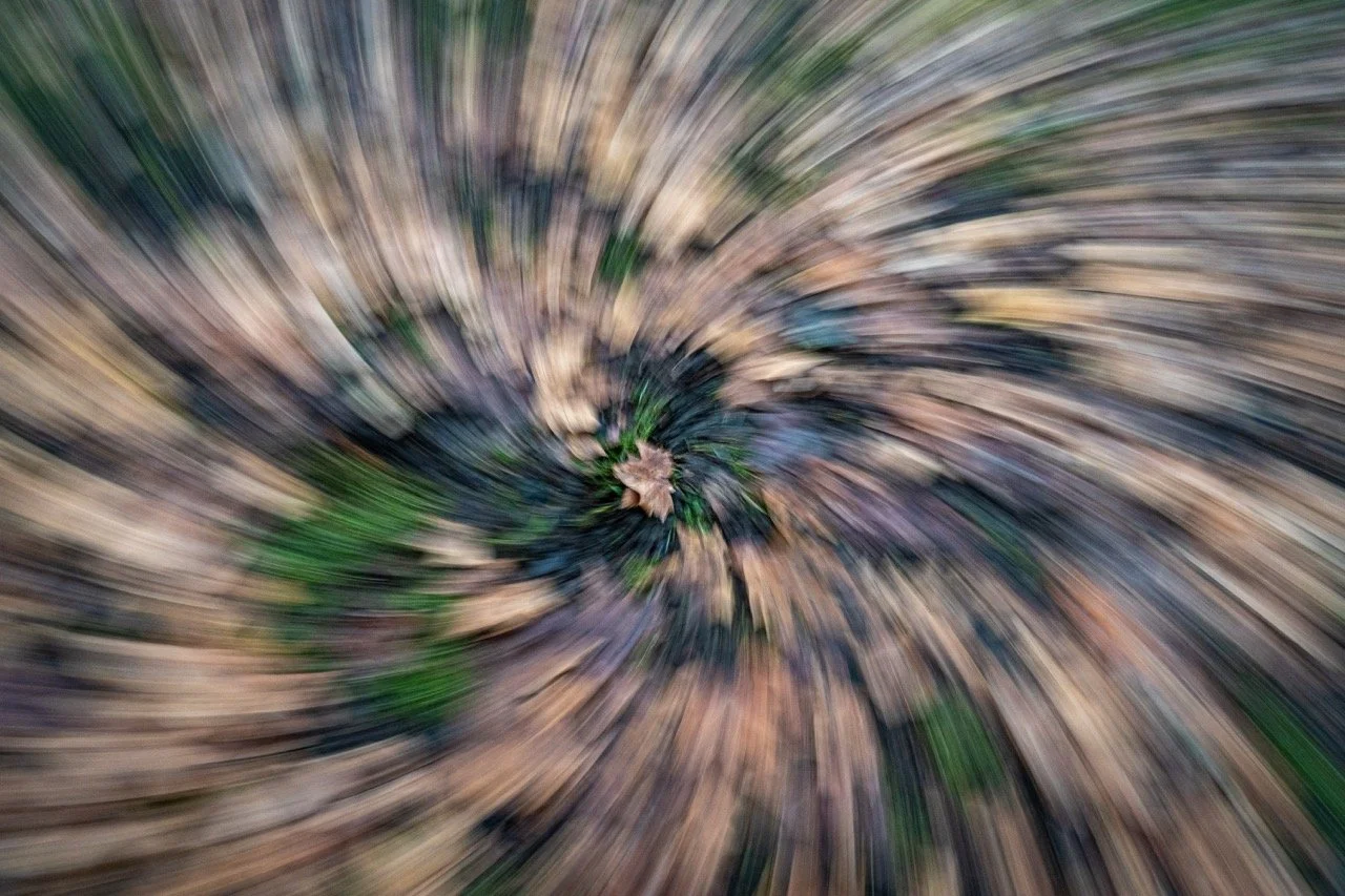 Ferdinand Schlick - alles dreht sich ums Blatt)