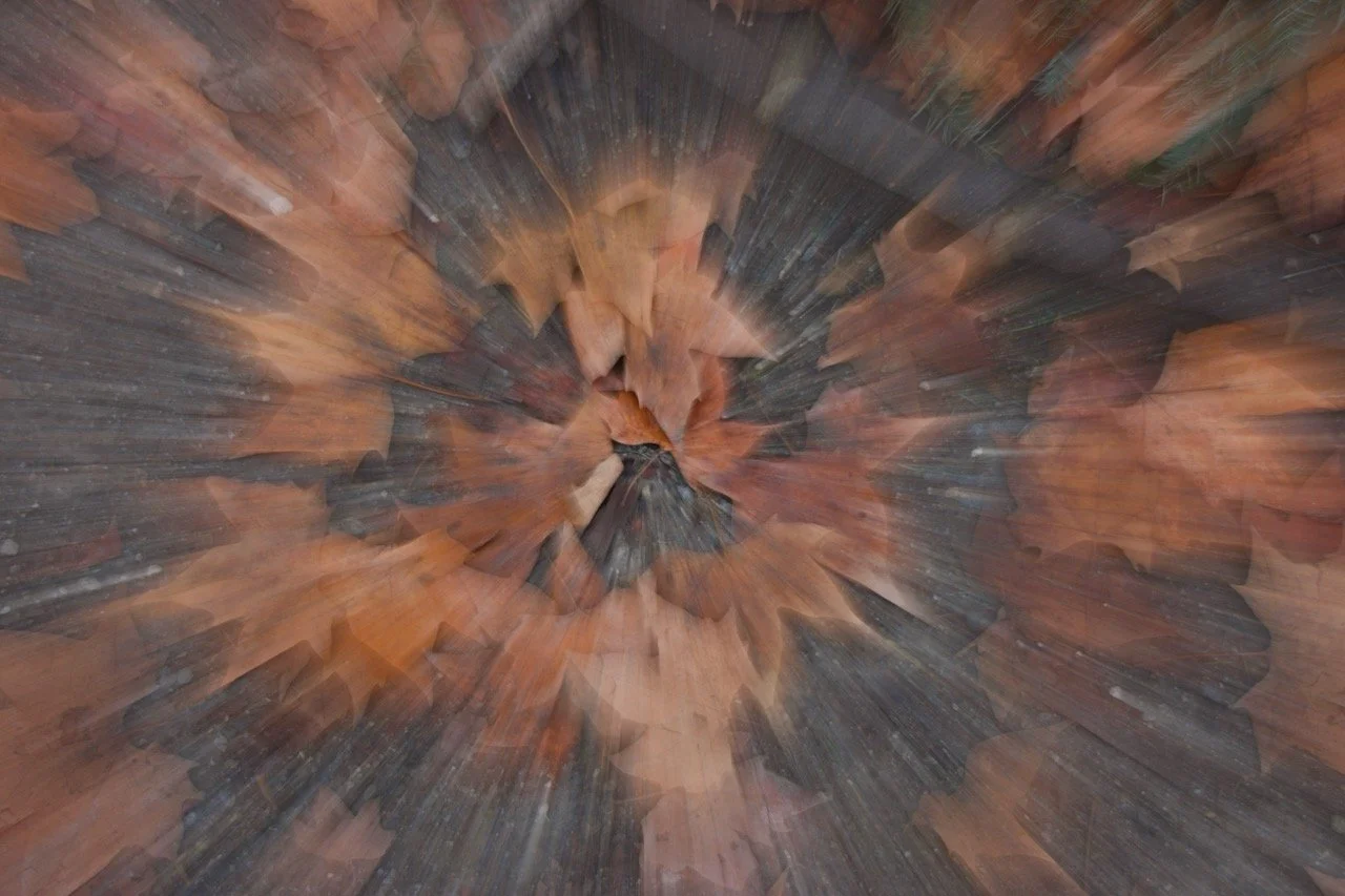 Gabriele Köpping - Gefallen