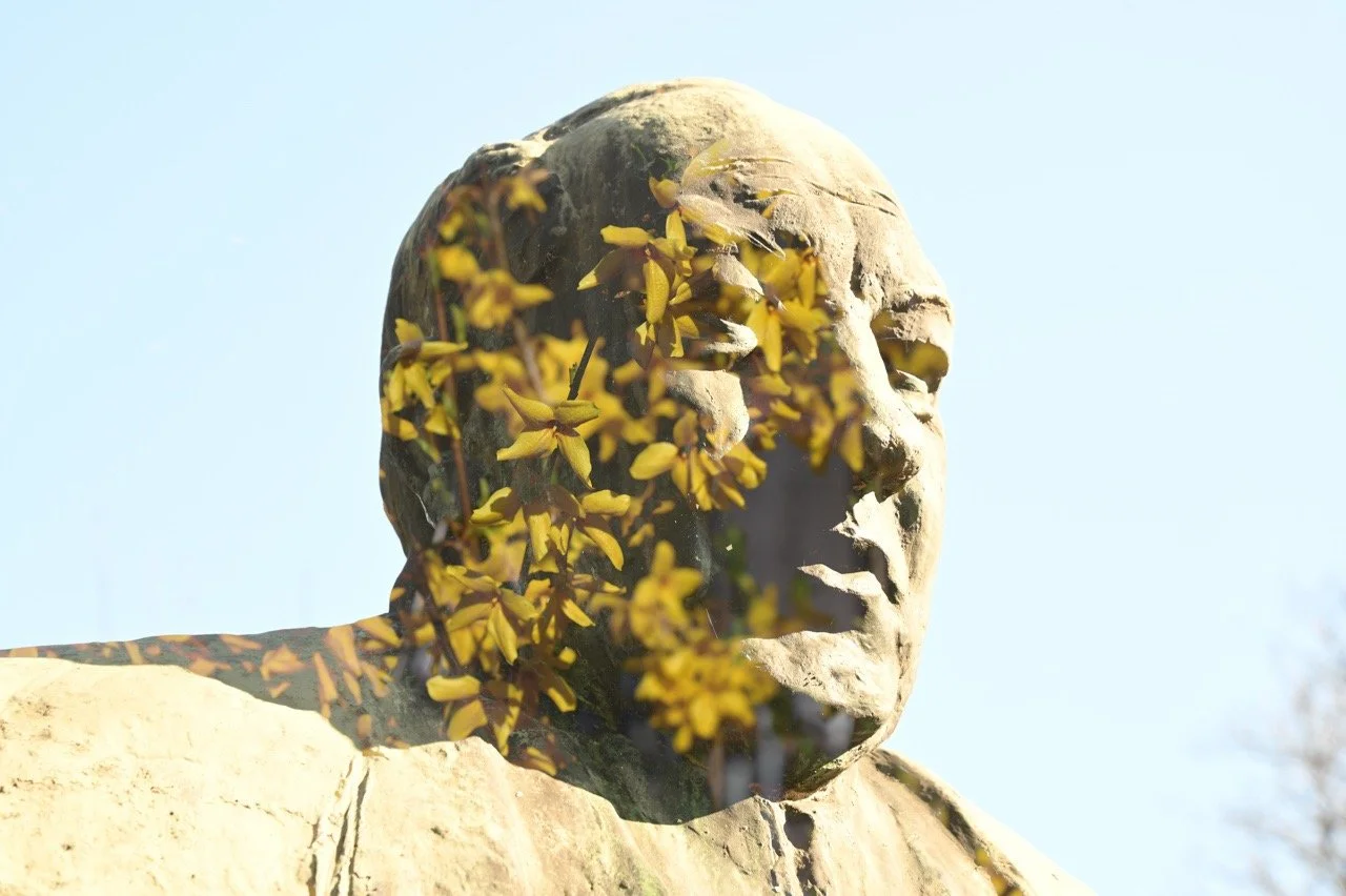 Erwin Brix - Blumenkopf