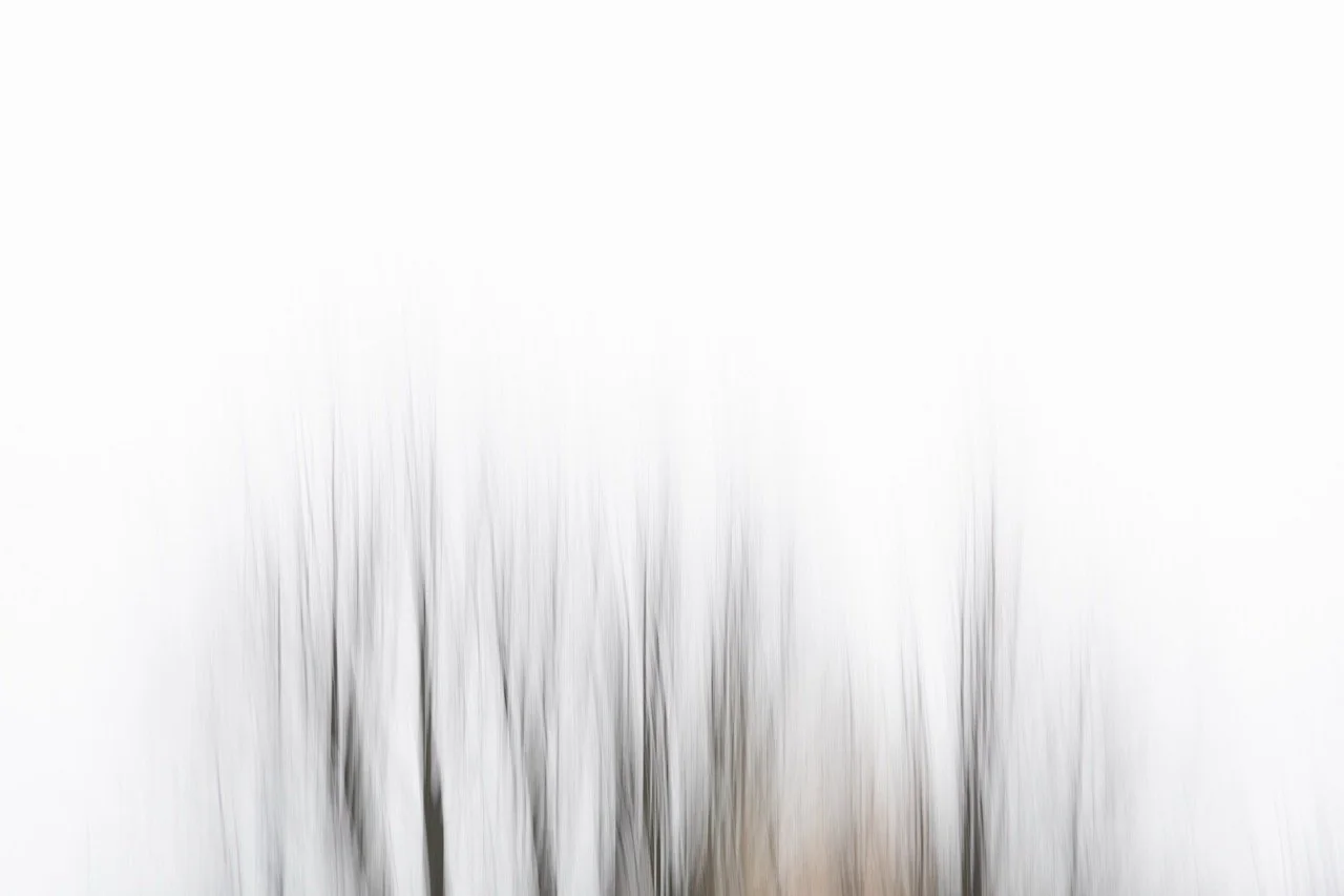 Karin Kaschnigg - Winterhauch