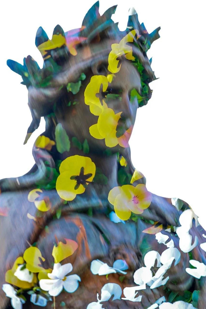 Karin Kaschnigg - Zwischen-Blüten