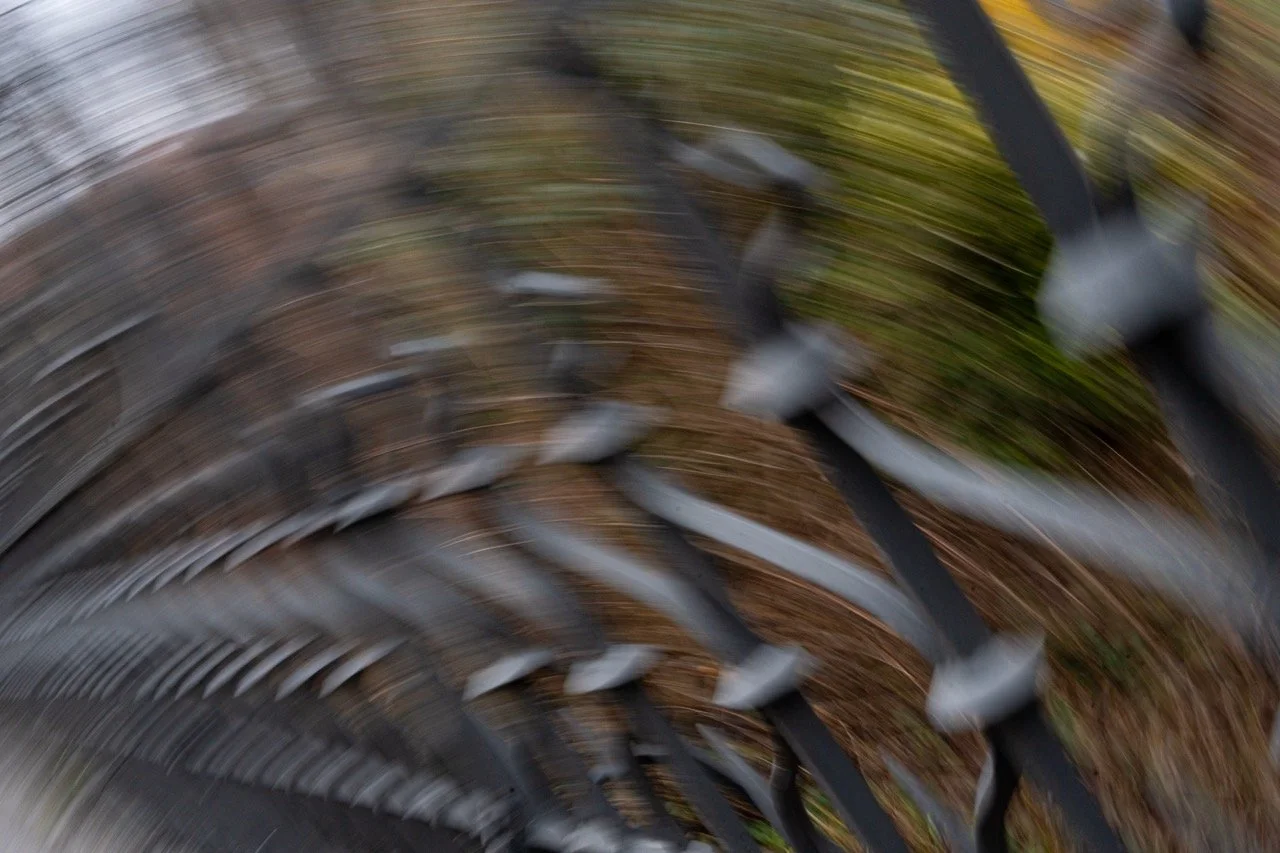 Claudia Schönthaler - Stacheltanz