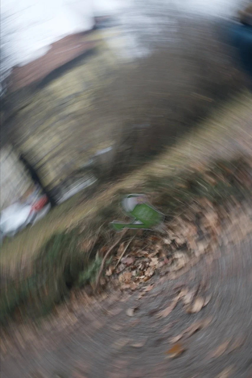 Hans Peter Köpping - Giesskannenprinzip 2