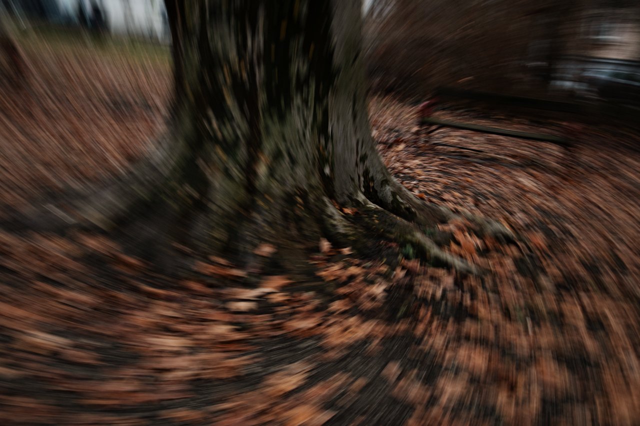 Erwin Brix - Wurzelwirbel